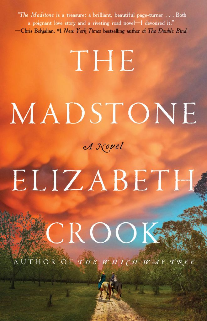 Cover image for The Madstone