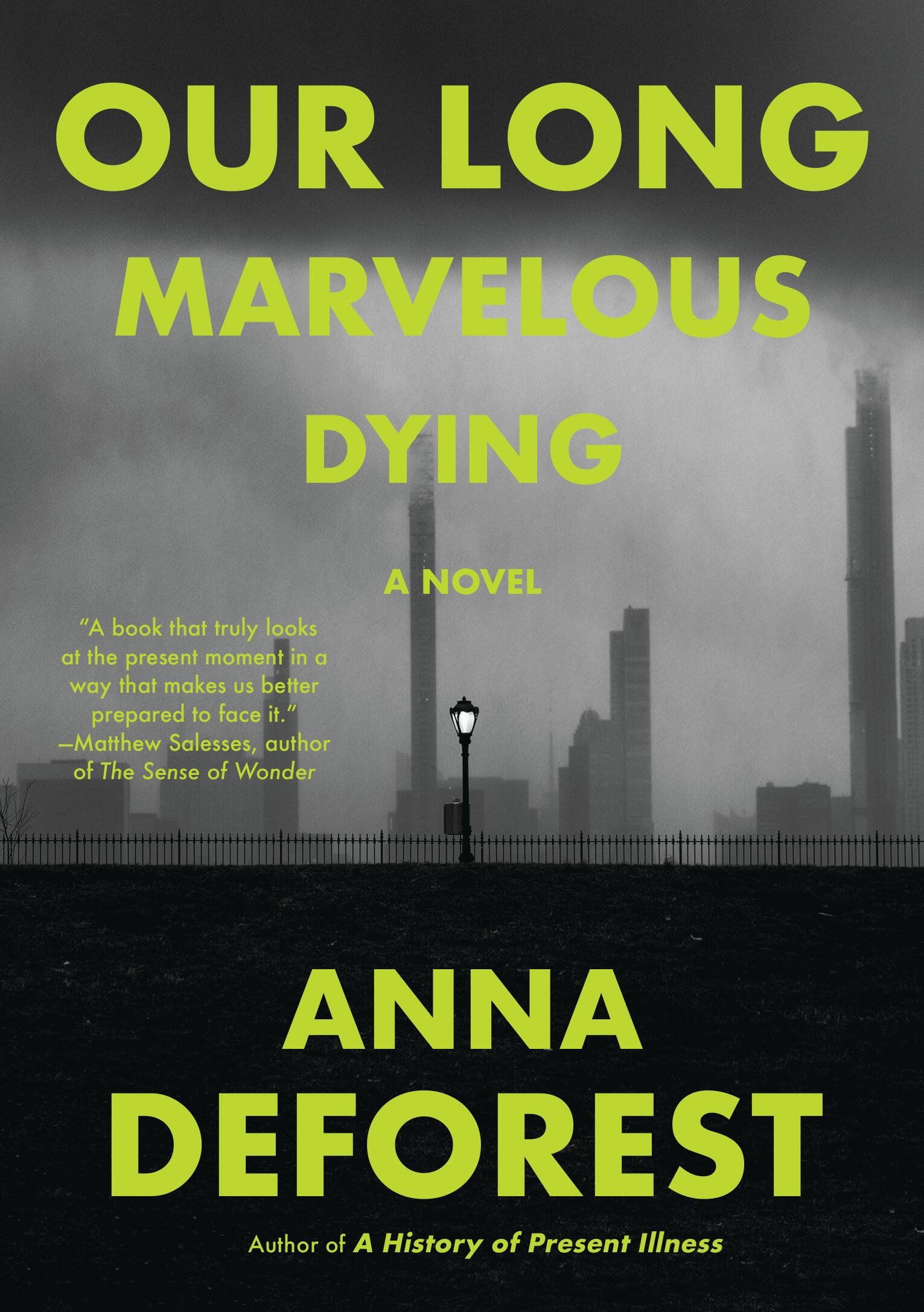 Cover image for Our Long Marvelous Dying