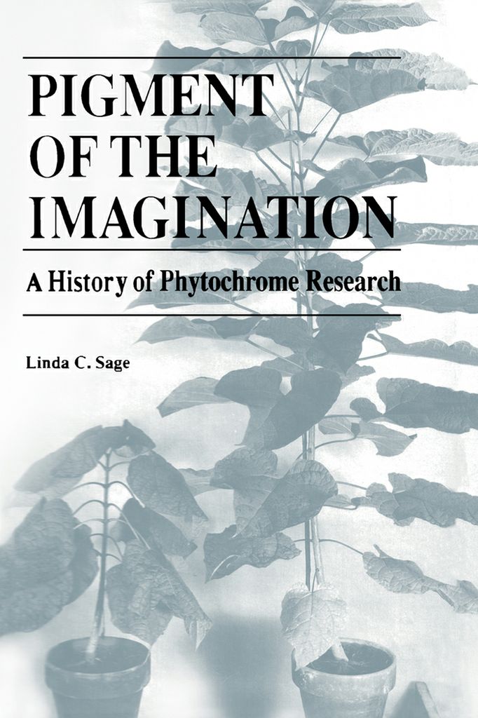Cover image for Pigment of the Imagination