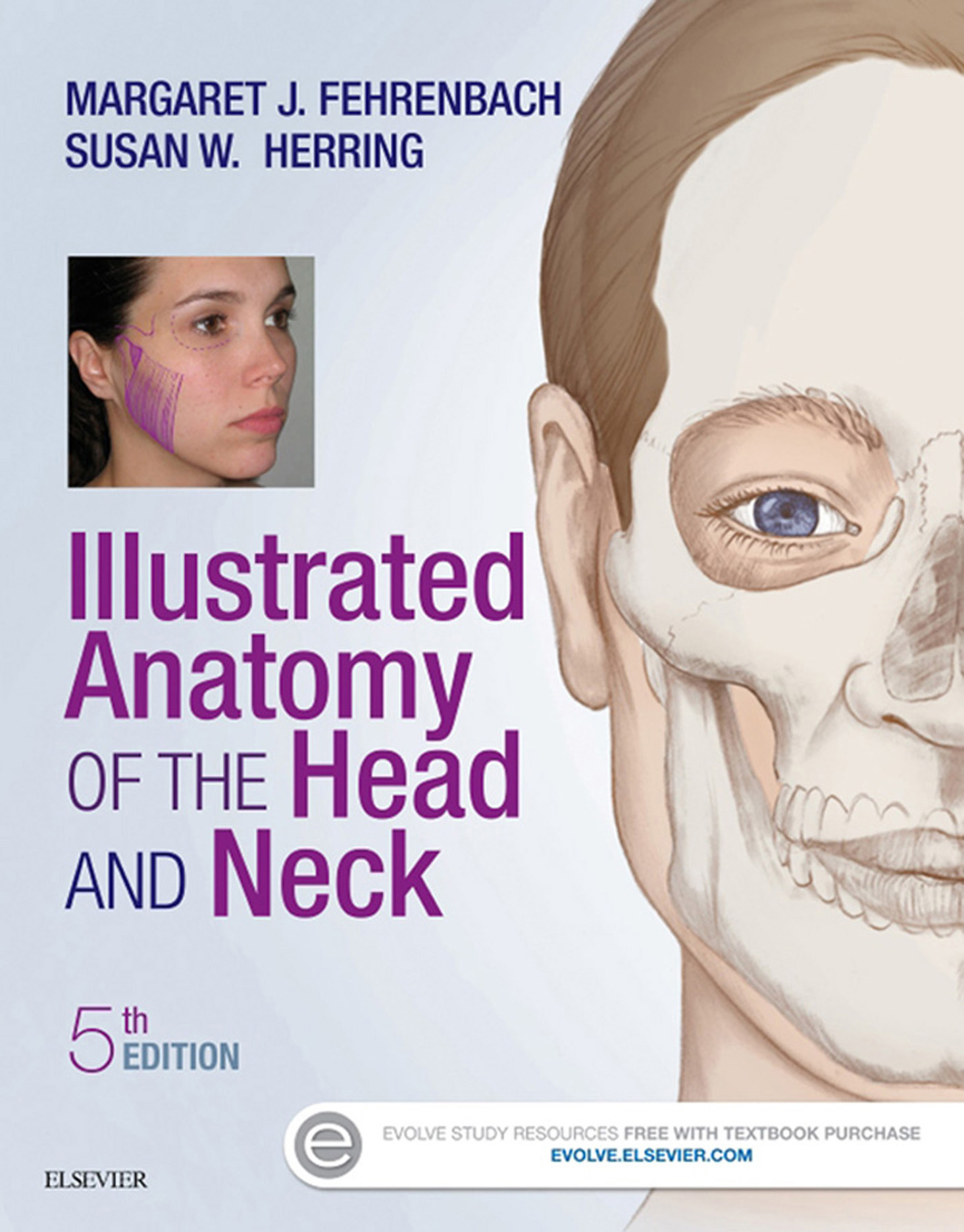 Illustrated Anatomy of the Head and Neck by: Margaret J