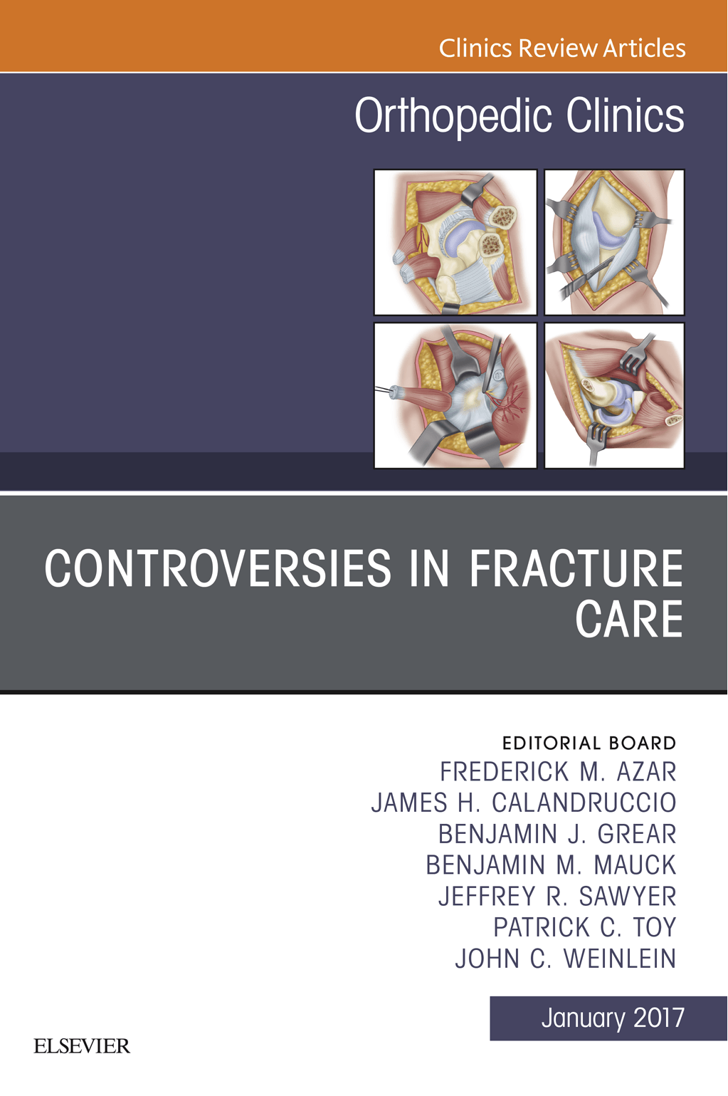 Cover image for Controversies in Fracture Care, An Issue of Orthopedic Clinics