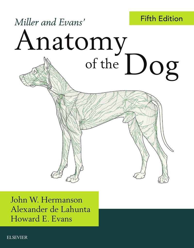 Miller and Evans' Anatomy of the Dog -... by: John W. Hermanson