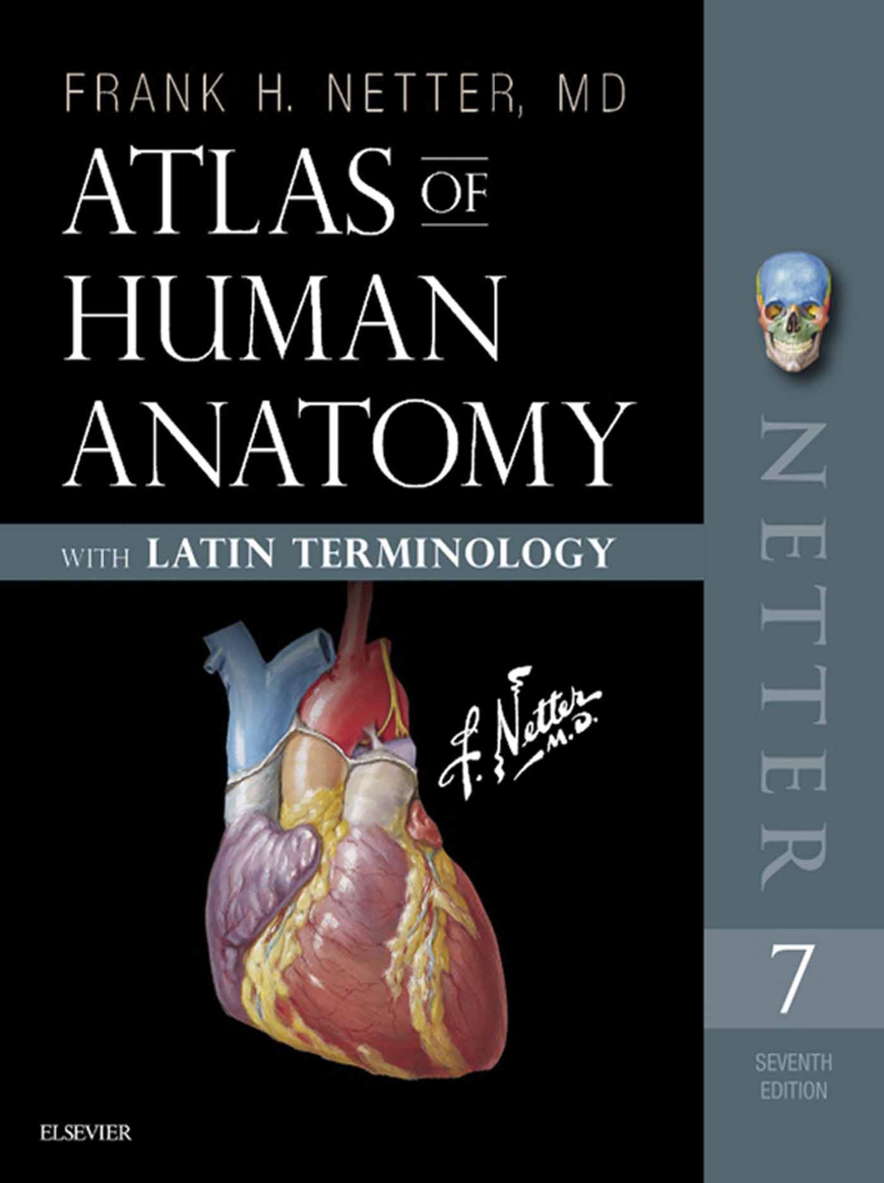 Atlas of Human Anatomy: Latin Terminology E-Book, image size:796x1024