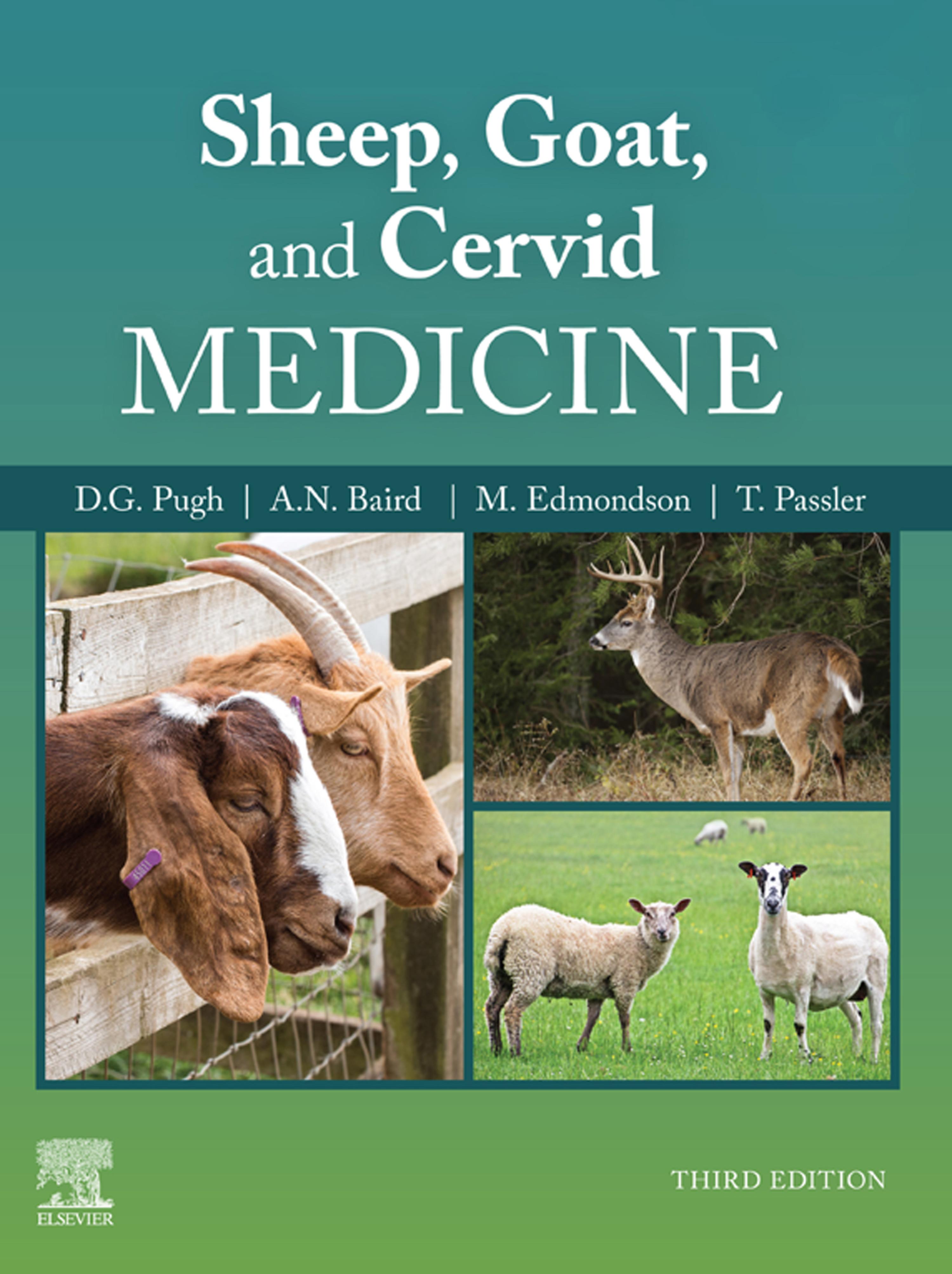Cover image for Sheep, Goat, and Cervid Medicine - E-Book