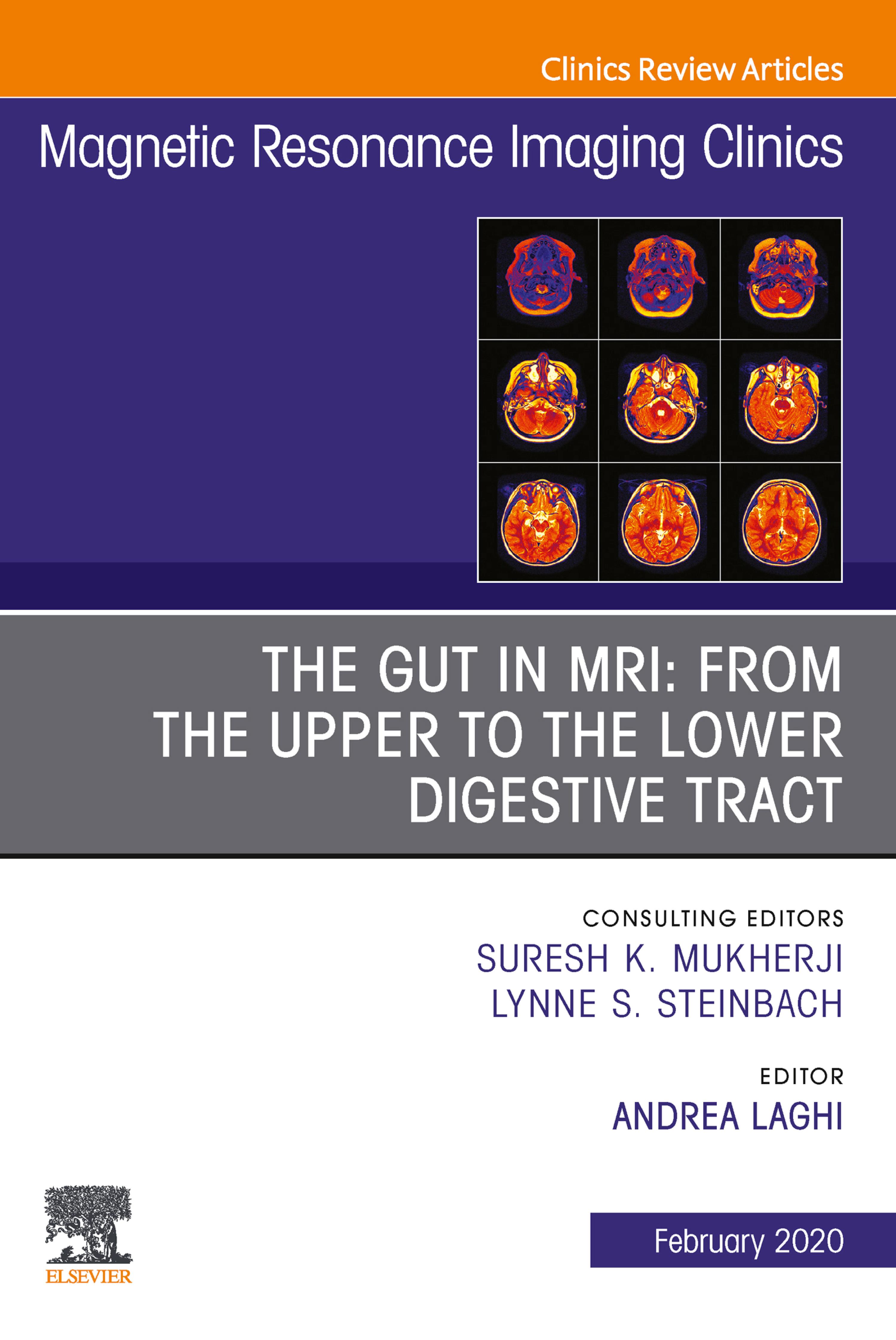 Cover image for MR Imaging of the Bowel, An Issue of Magnetic Resonance Imaging Clinics of North America, E-Book