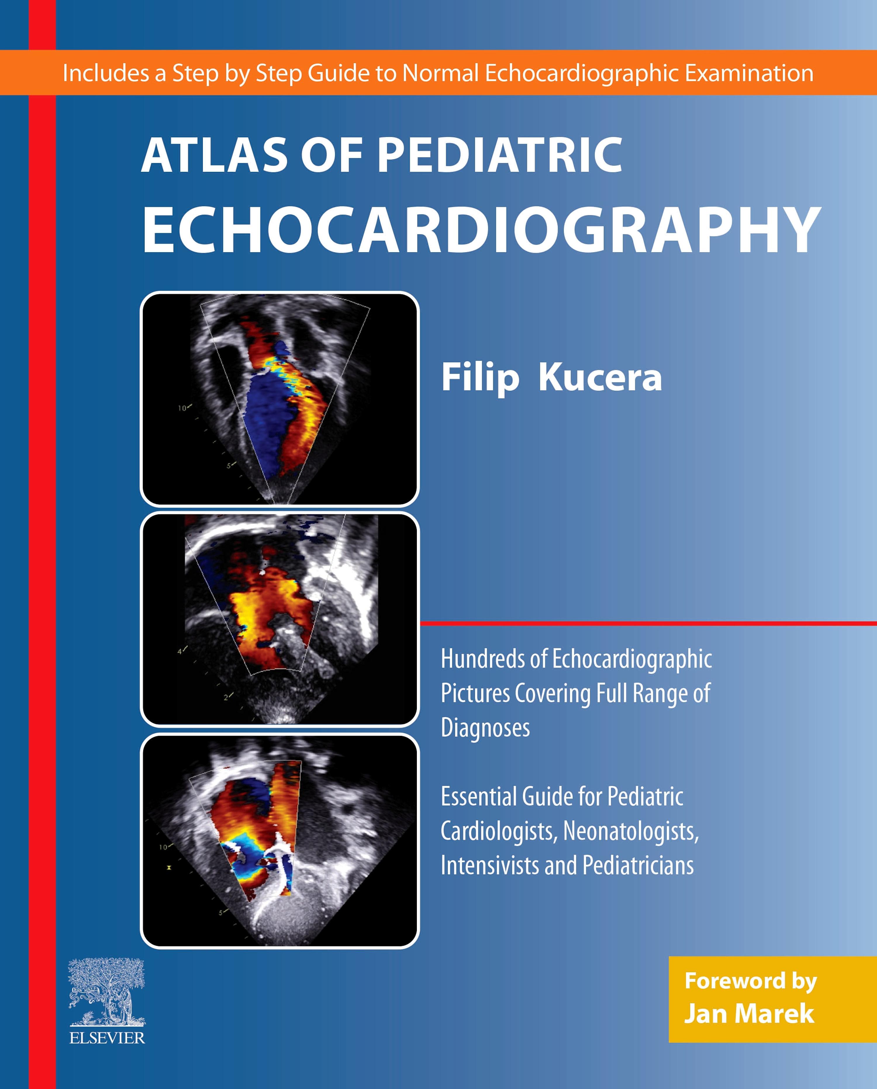 Echocardiography DiseÃ±o Lv ECHO-KG Clinic «K+31» - Main Image