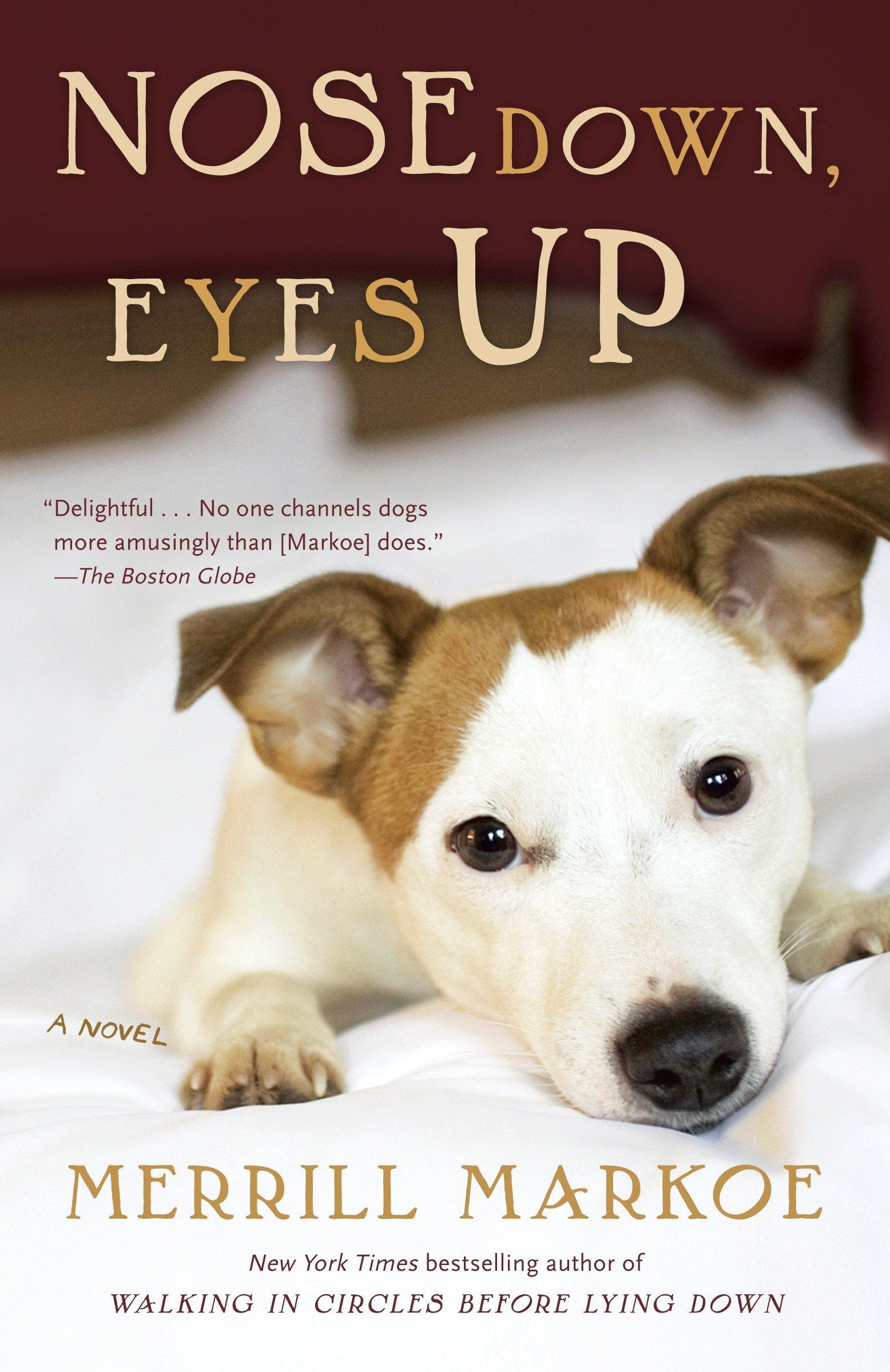 Cover image for Nose Down, Eyes Up