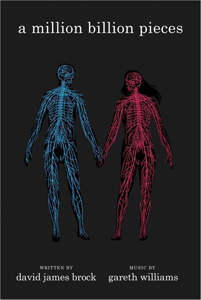 Cover image for a million billion pieces