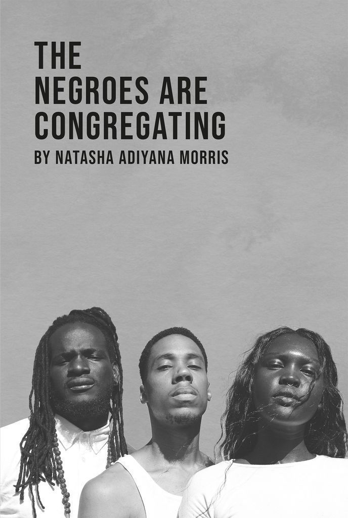 Cover image for The Negroes Are Congregating