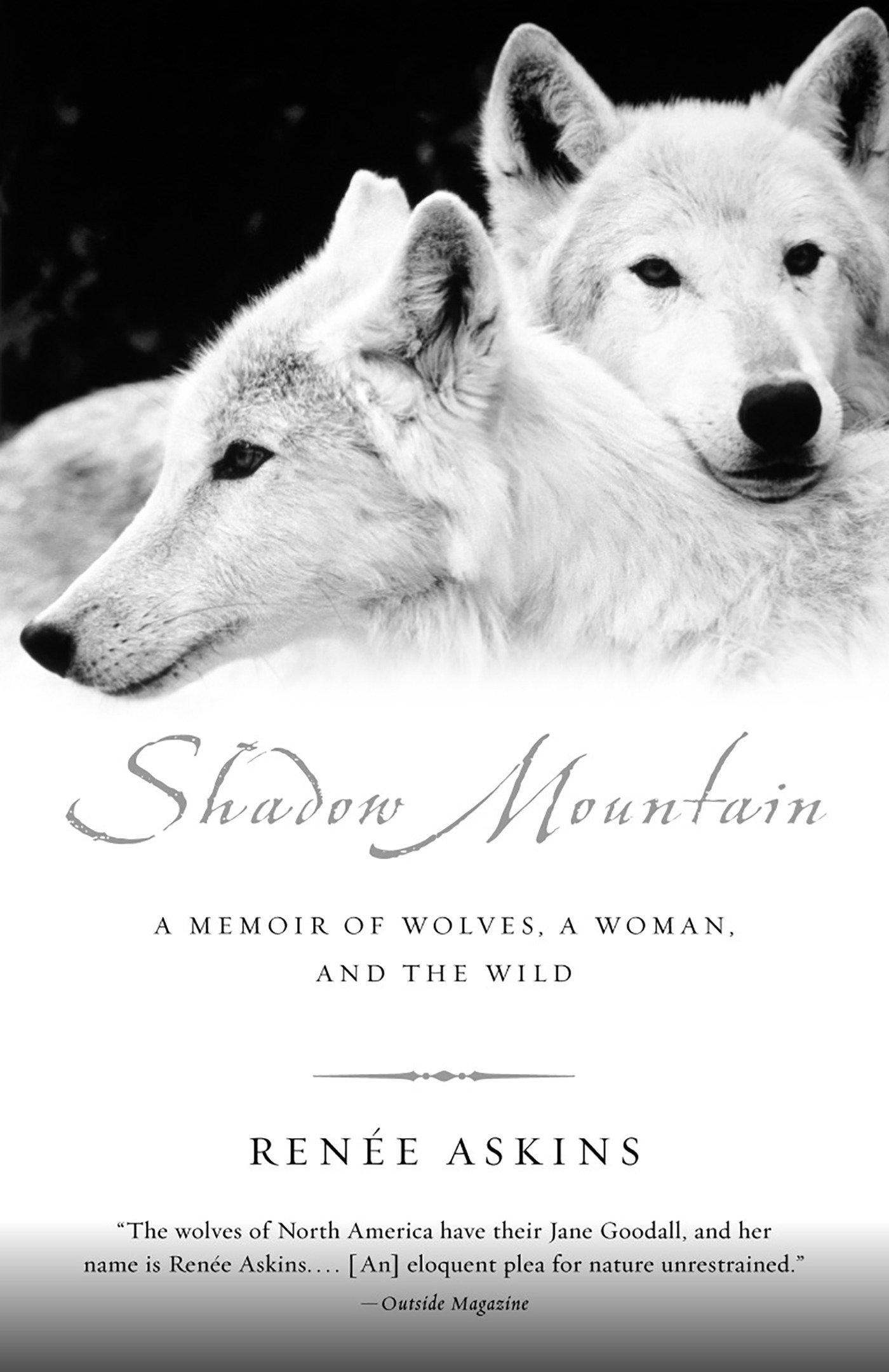 Cover image for Shadow Mountain