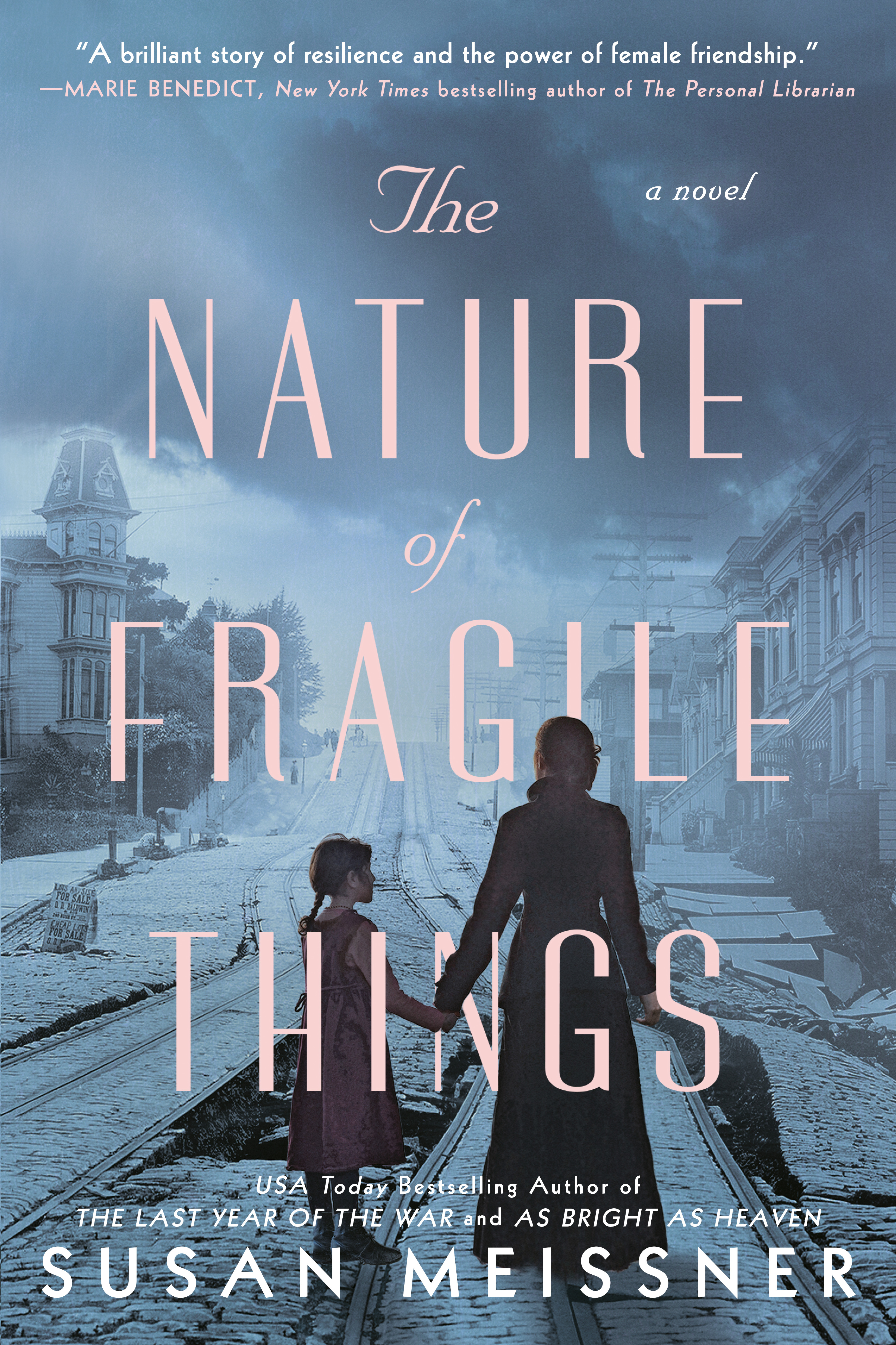 Cover image for The Nature of Fragile Things
