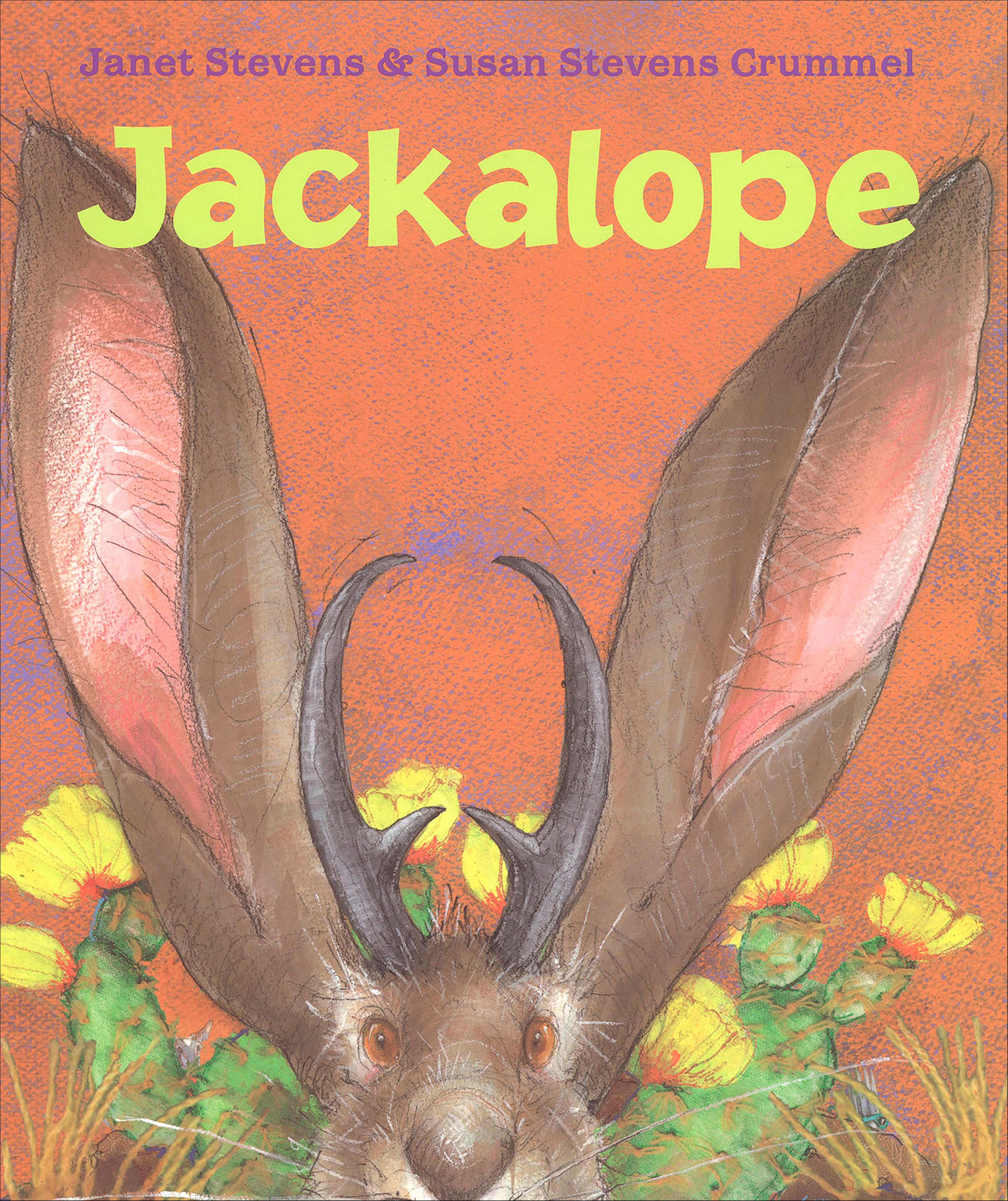 Cover image for Jackalope
