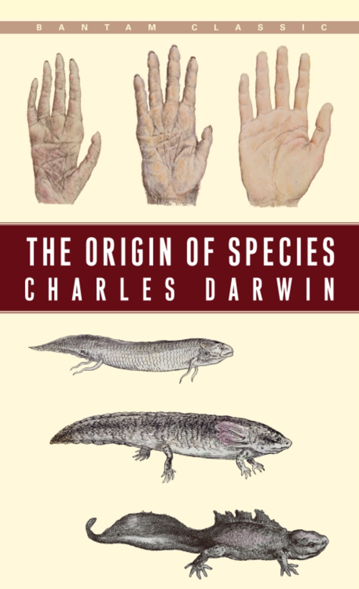 The origin of species. The Origin of species Darwin. The Origin of species by Charles Darwin. Charles Darwin the Origin of species Wiki. The Origin of our species.