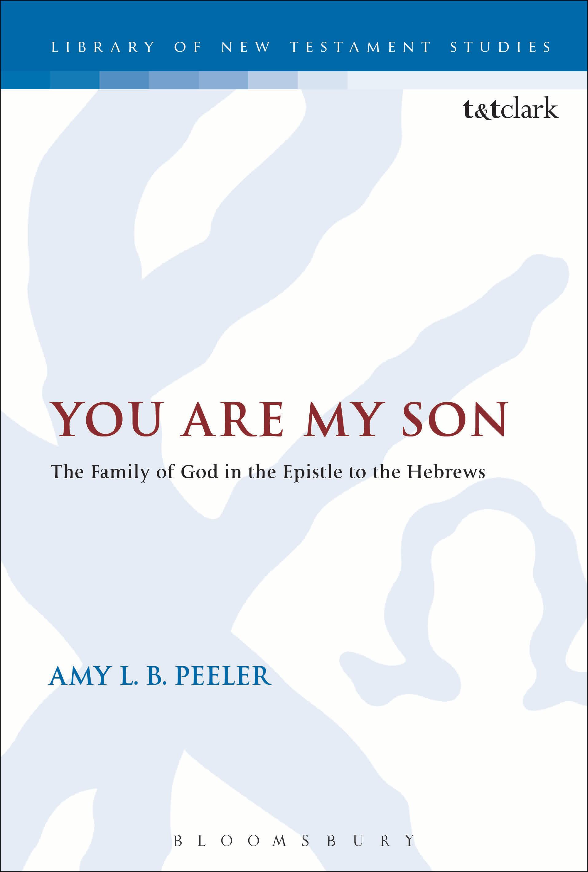 Cover image for You Are My Son