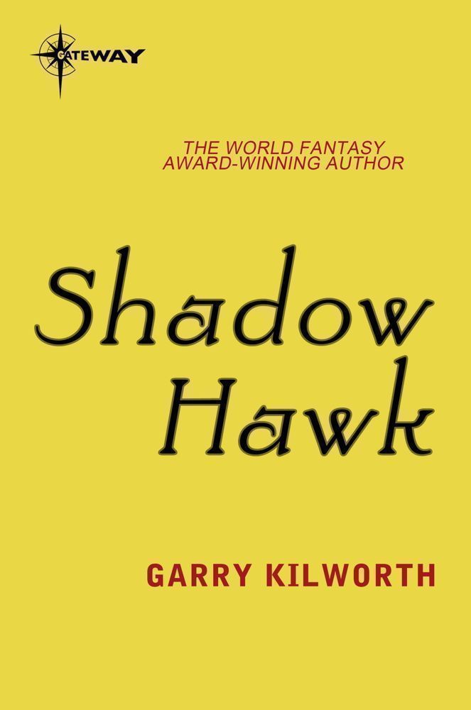Cover image for Shadow Hawk