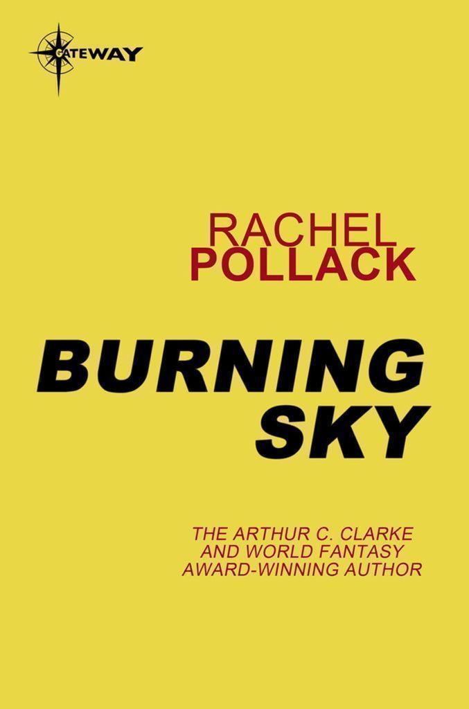 Cover image for Burning Sky