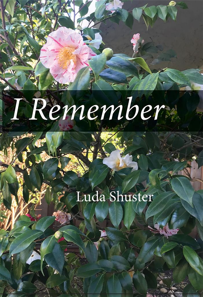 Cover image for I Remember