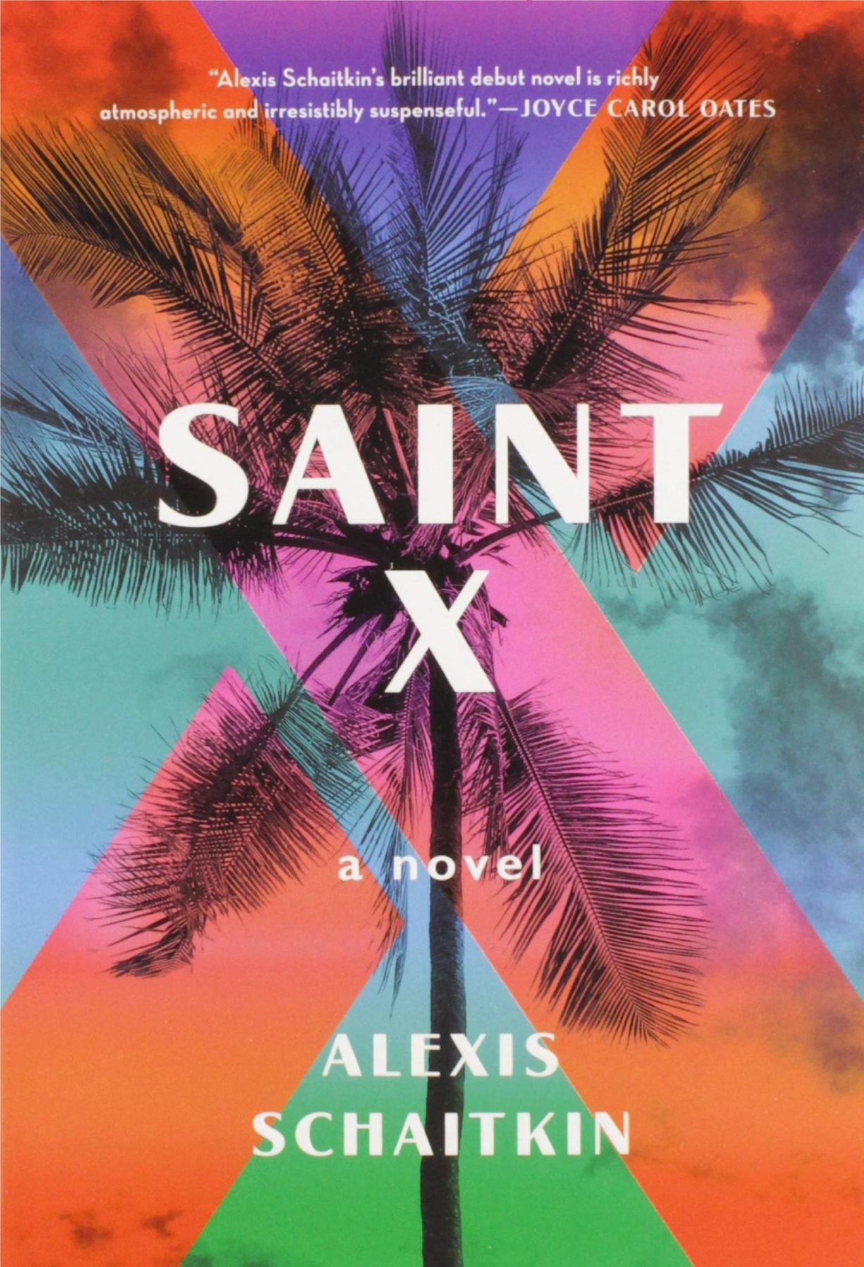 Cover image for Saint X - Alexis Schaitkin