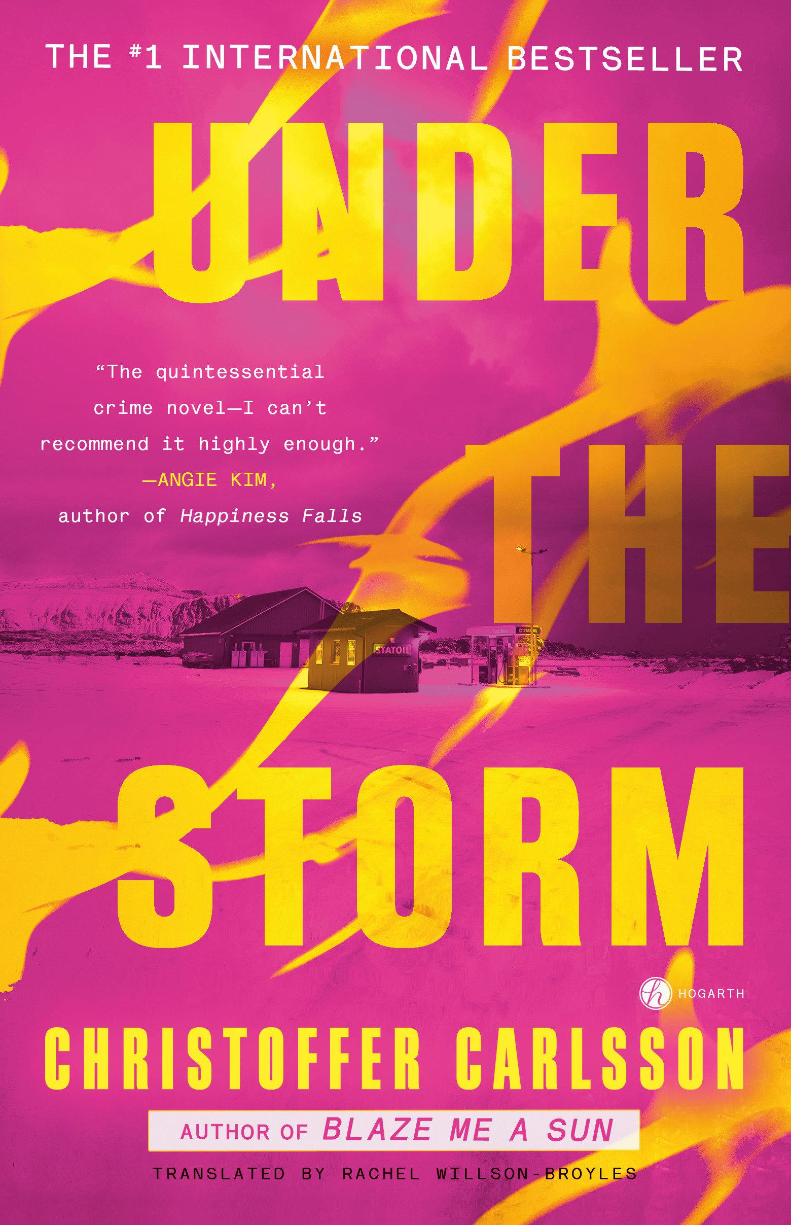 Cover image for Under the Storm