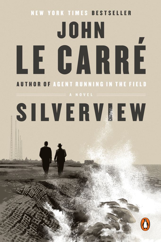 Cover image for Silverview