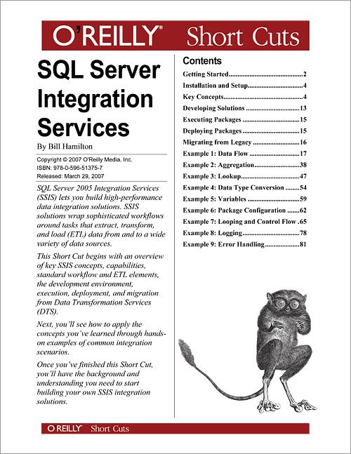 SQL Server Integration Services