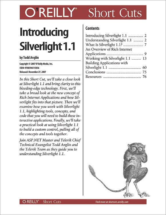 Introducing Silverlight 1.1