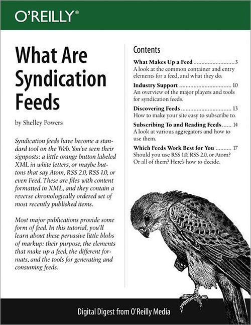 What Are Syndication Feeds