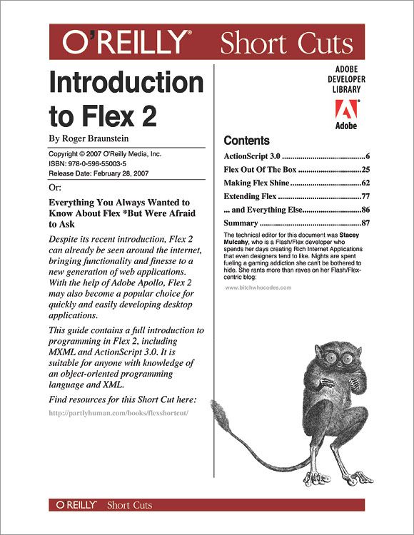 Introduction to Flex 2