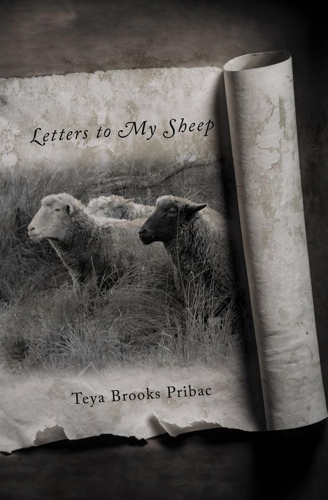 Cover image for Letters To My Sheep