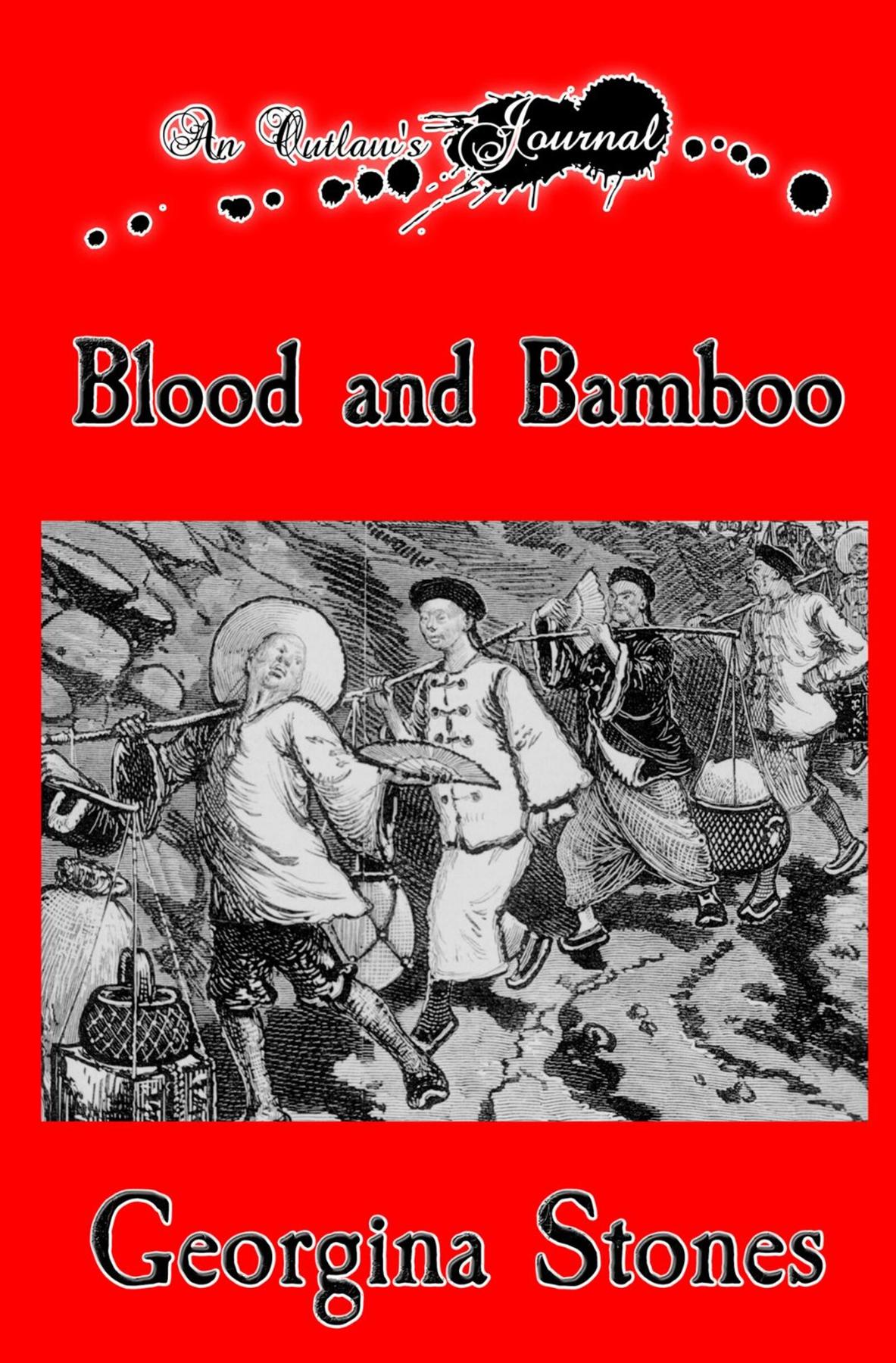 Cover image for An Outlaw's Journal