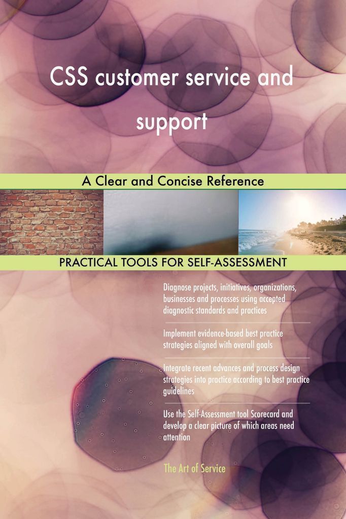 Cover image for CSS customer service and support A Clear and Concise Reference