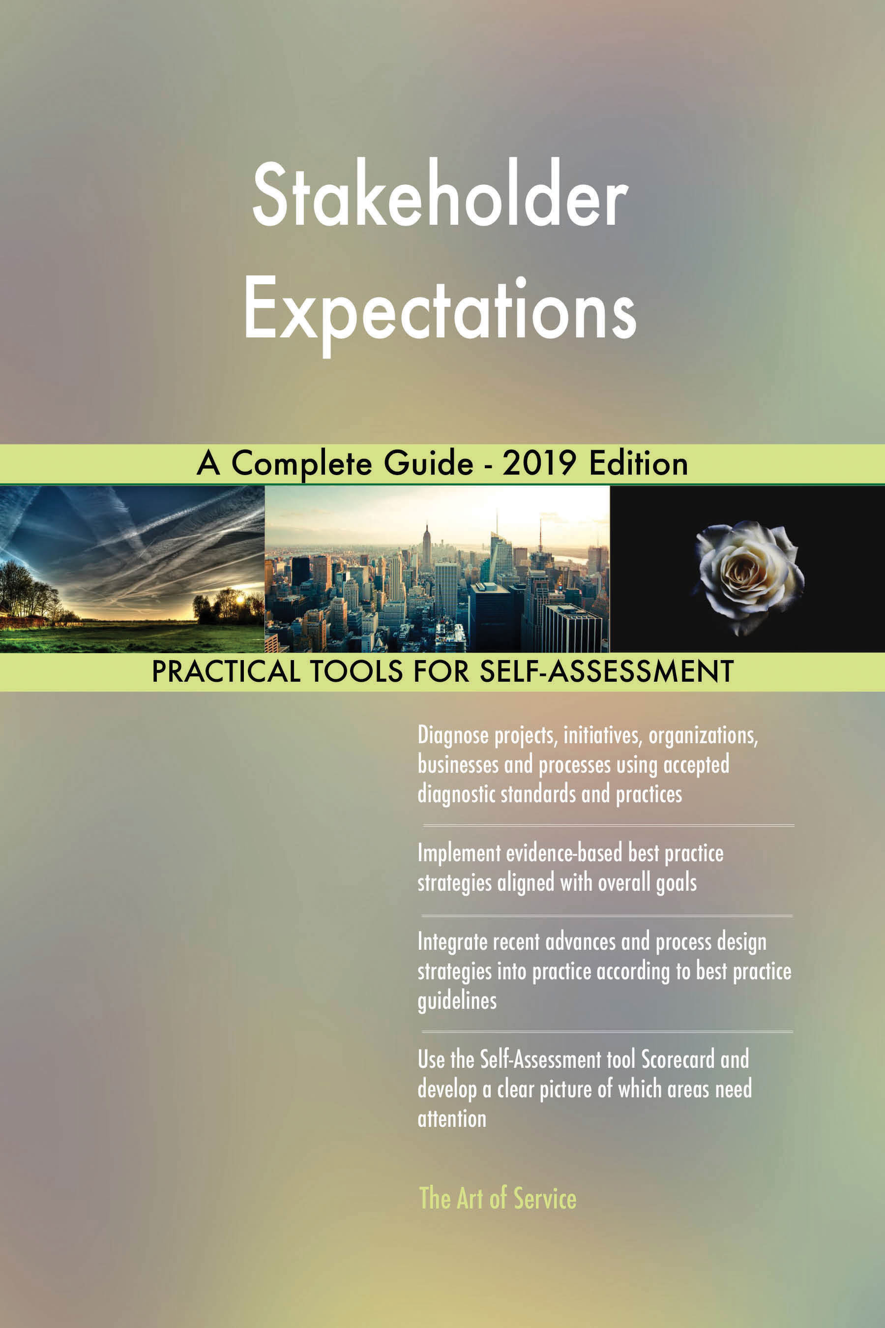 Cover image for Stakeholder Expectations A Complete Guide - 2019 Edition