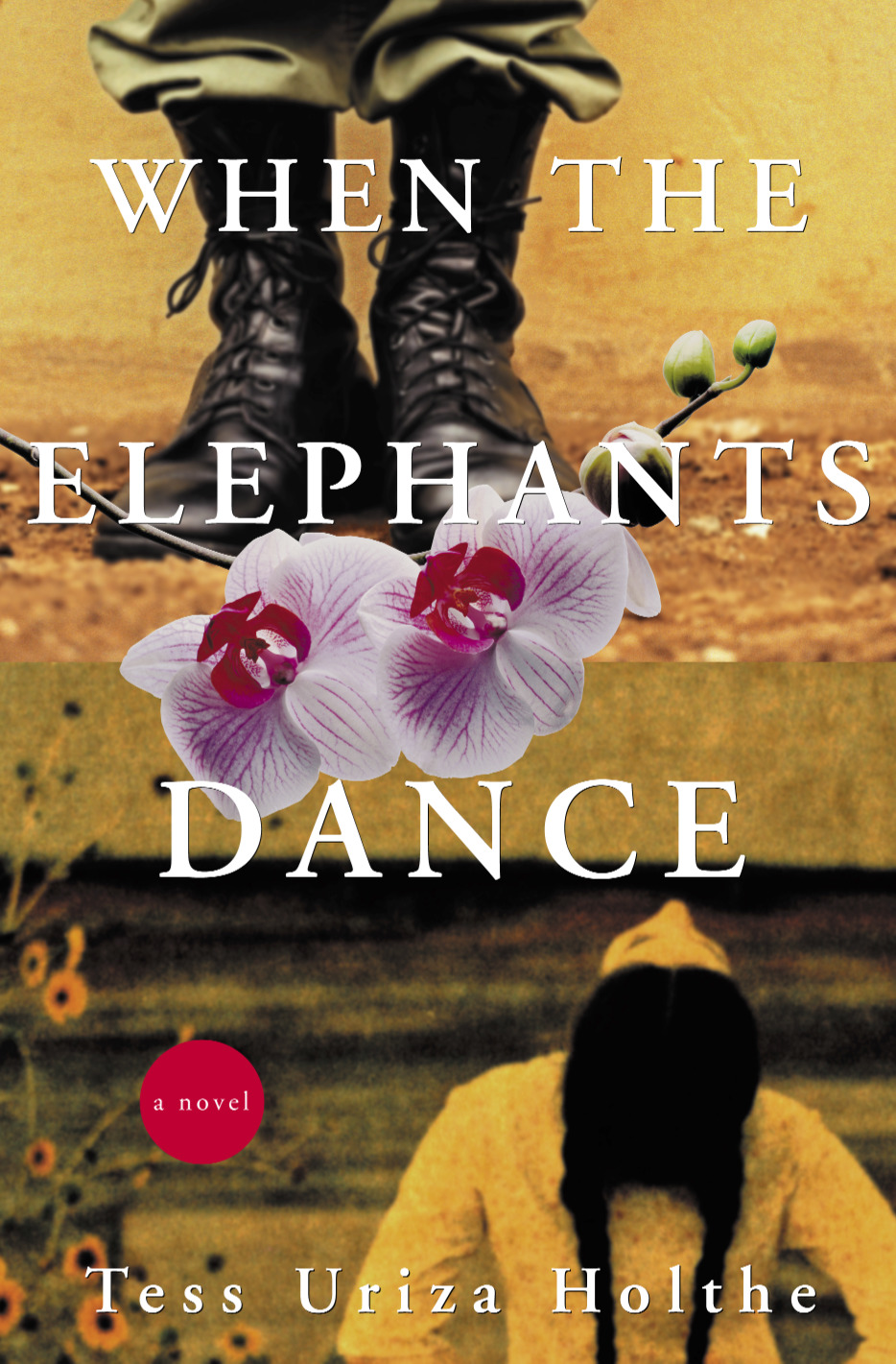 Cover image for When the Elephants Dance