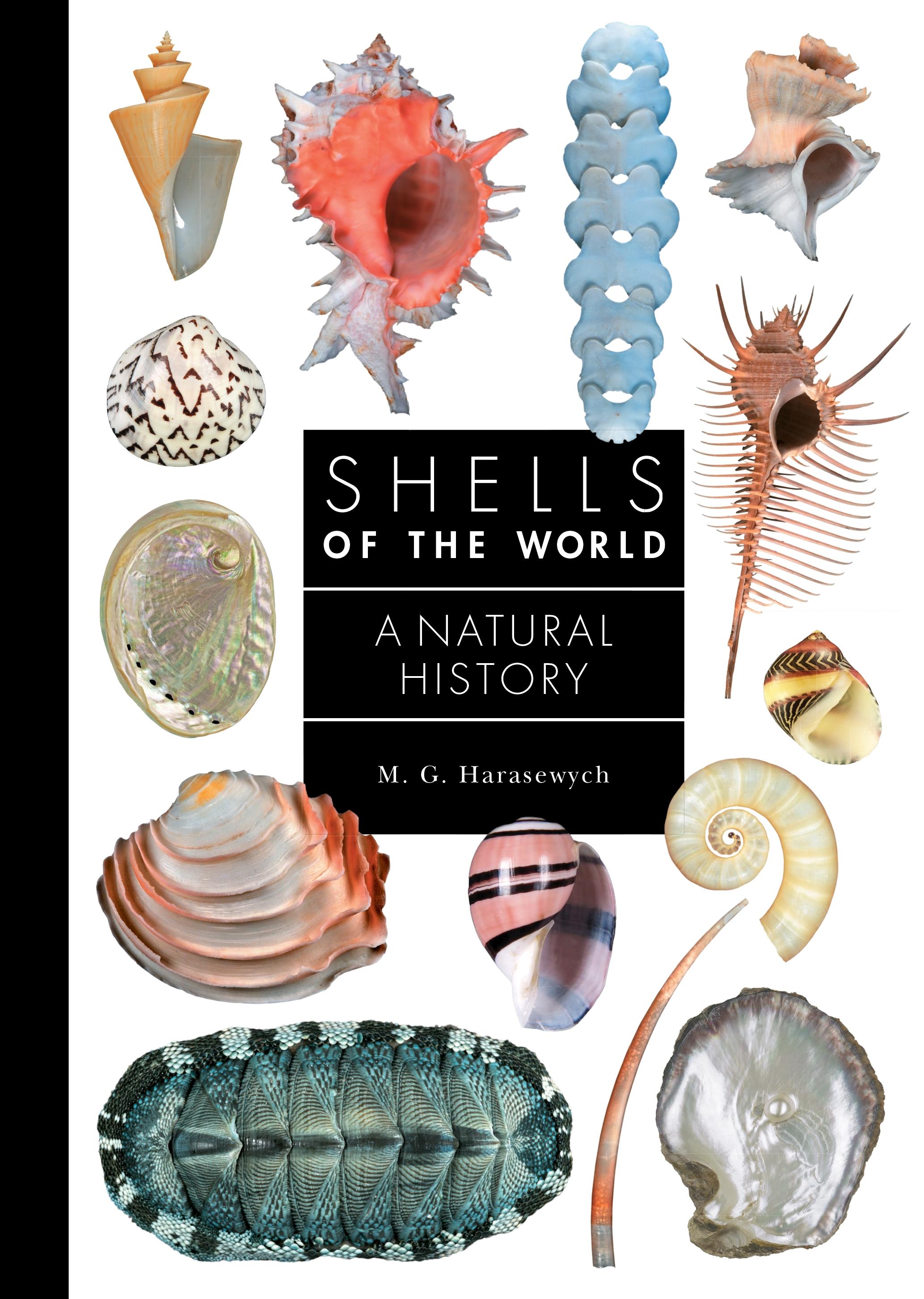 Shells of the World by: M. G. Harasewych - 9780691248257 | RedShelf