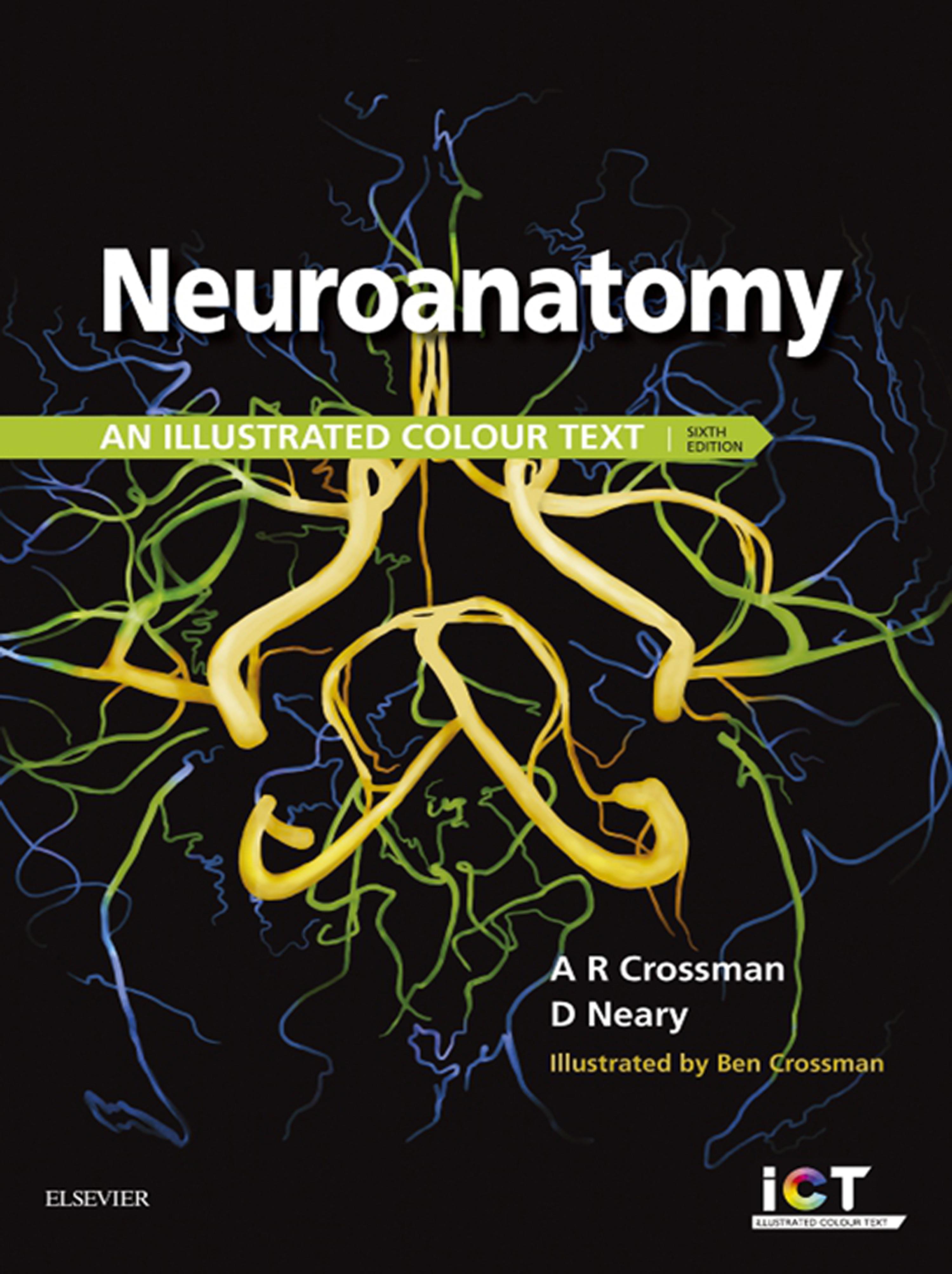Cover image for Neuroanatomy E-Book