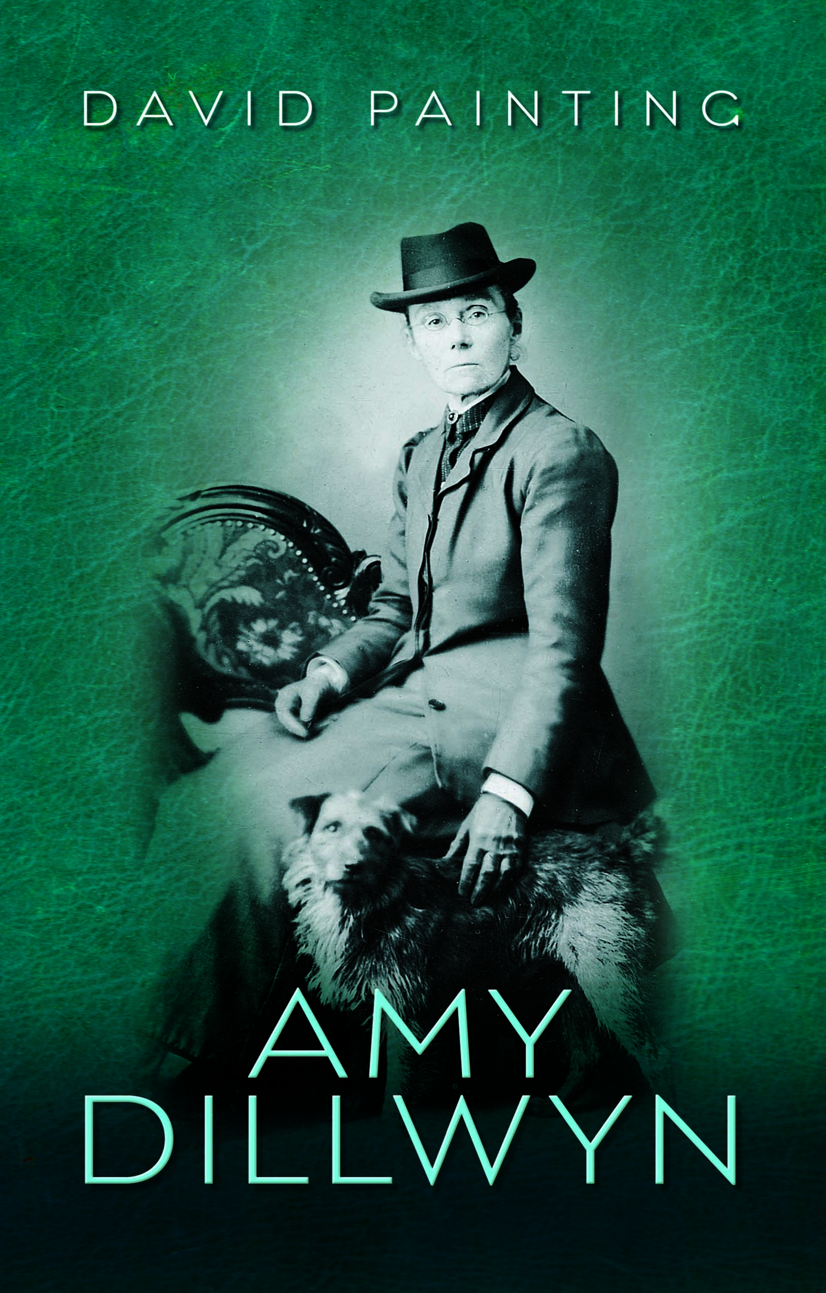 Cover image for Amy Dillwyn