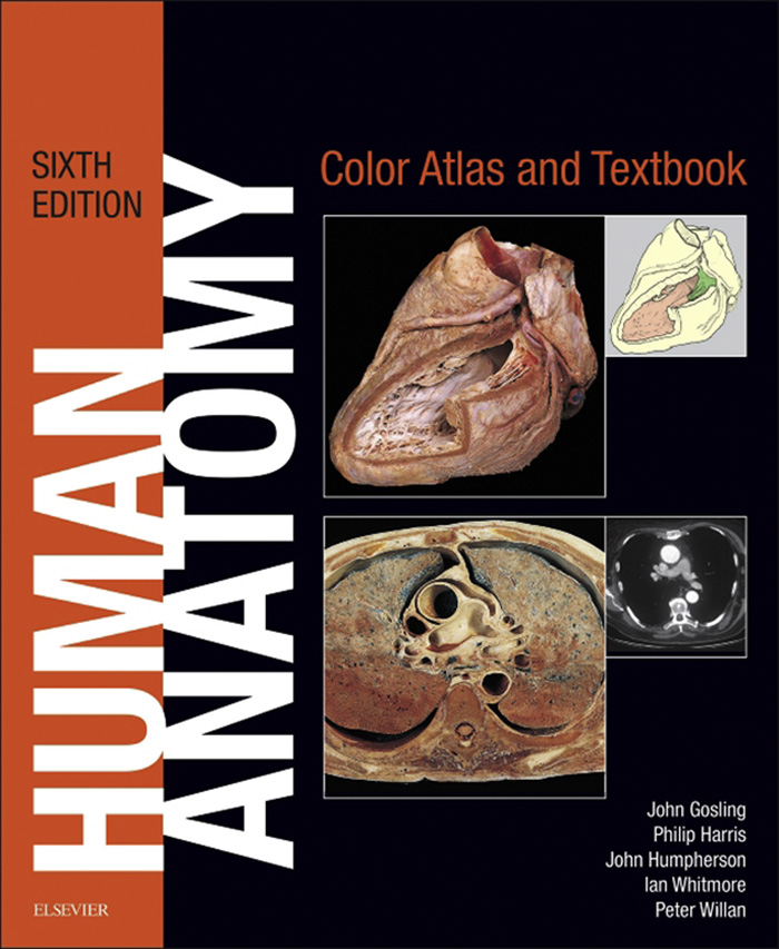 Human Anatomy, Color Atlas and Textbook... by: John A. Gosling