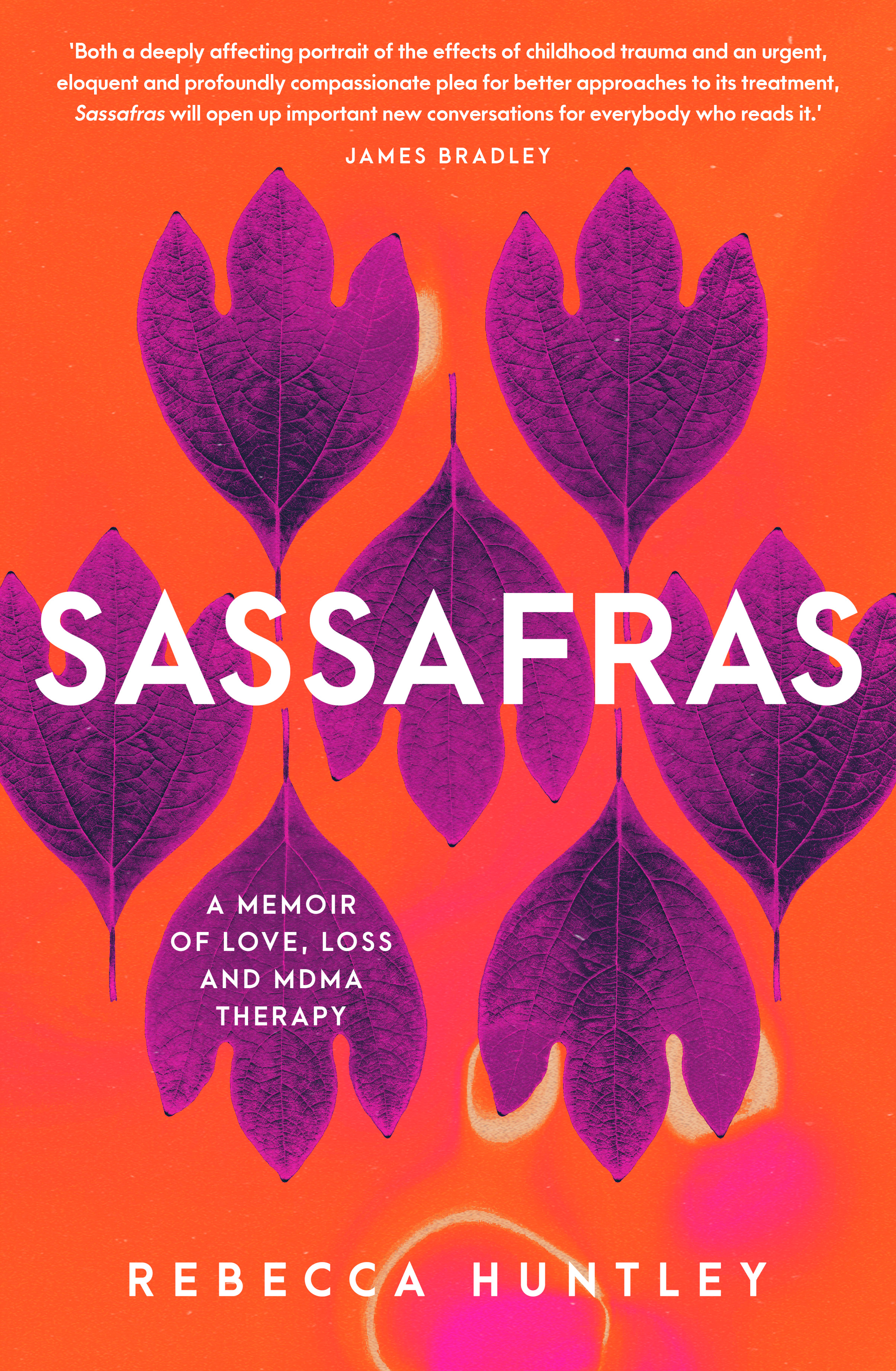 Cover image for Sassafras