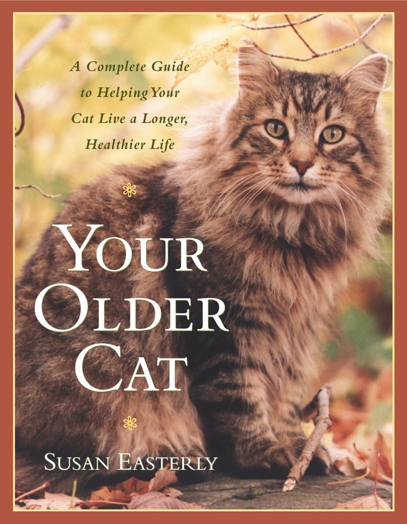 Cover image for Your Older Cat