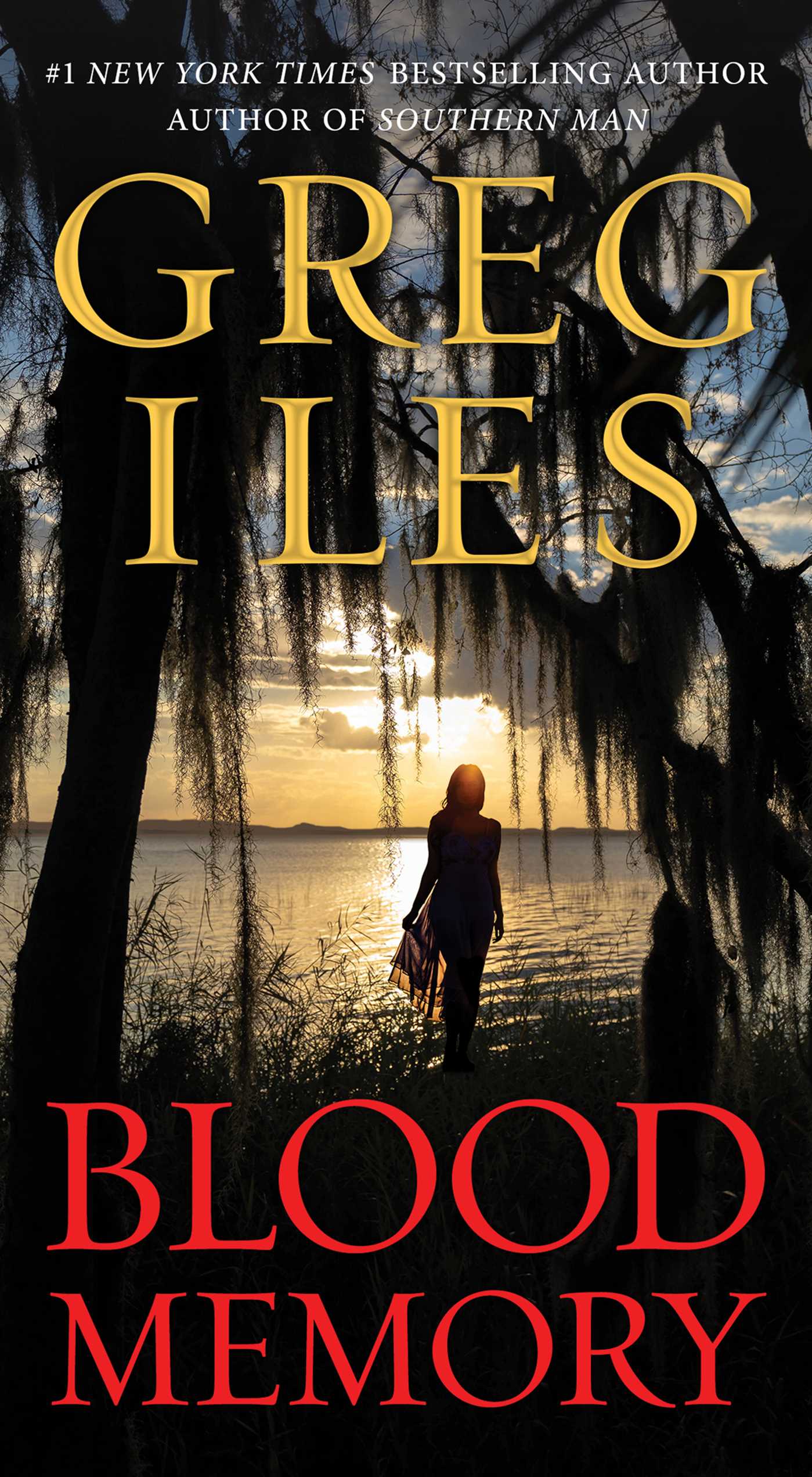 Cover image for Blood Memory