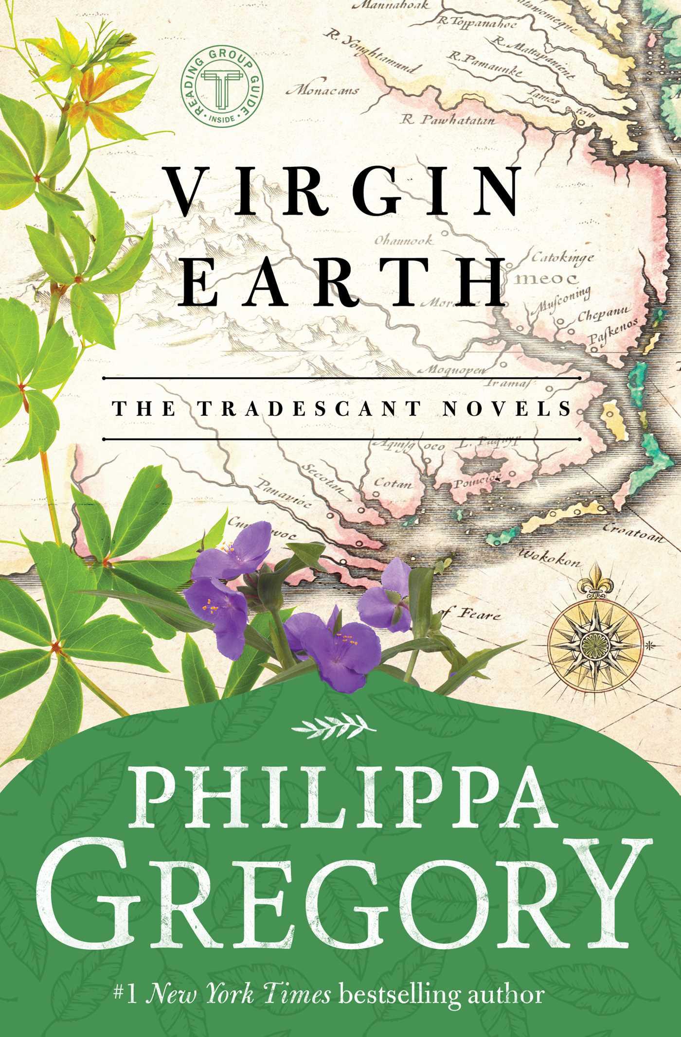 Cover image for Virgin Earth