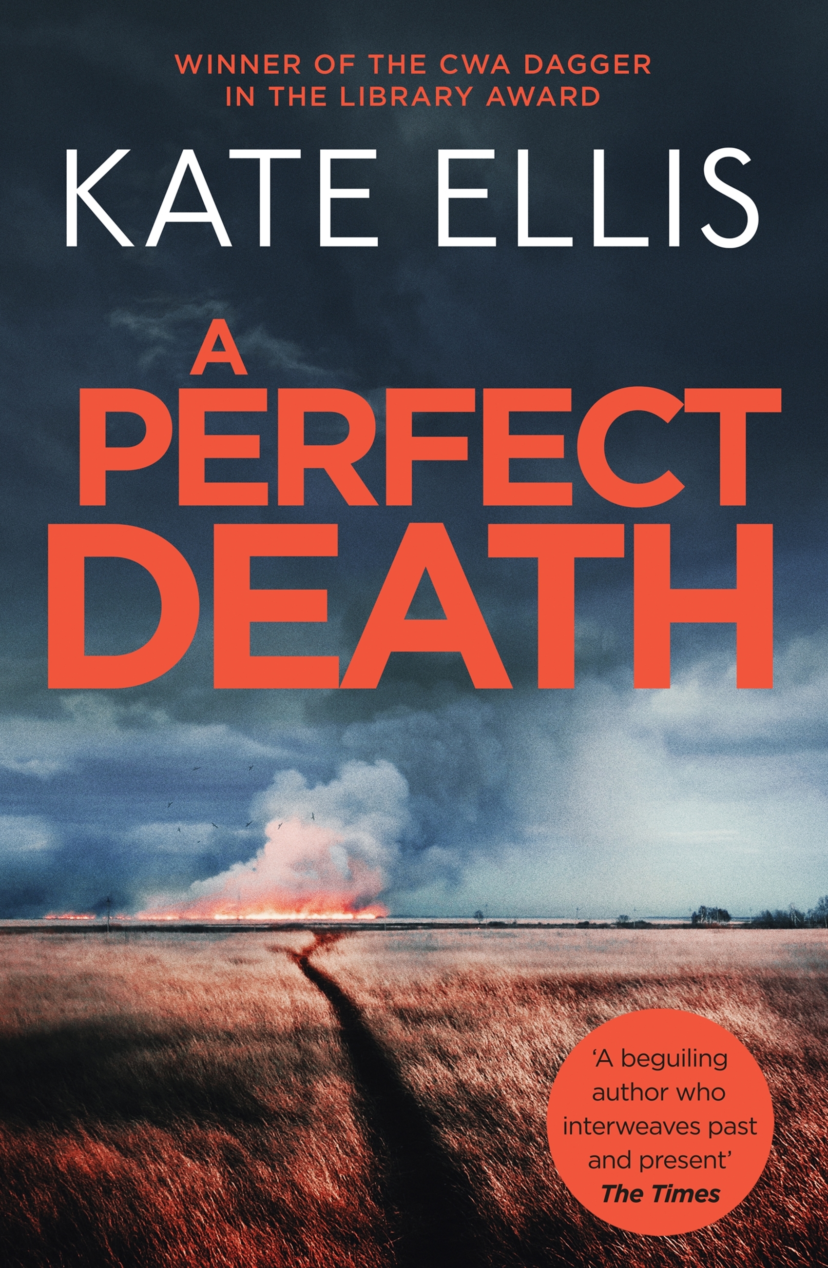Cover image for A Perfect Death