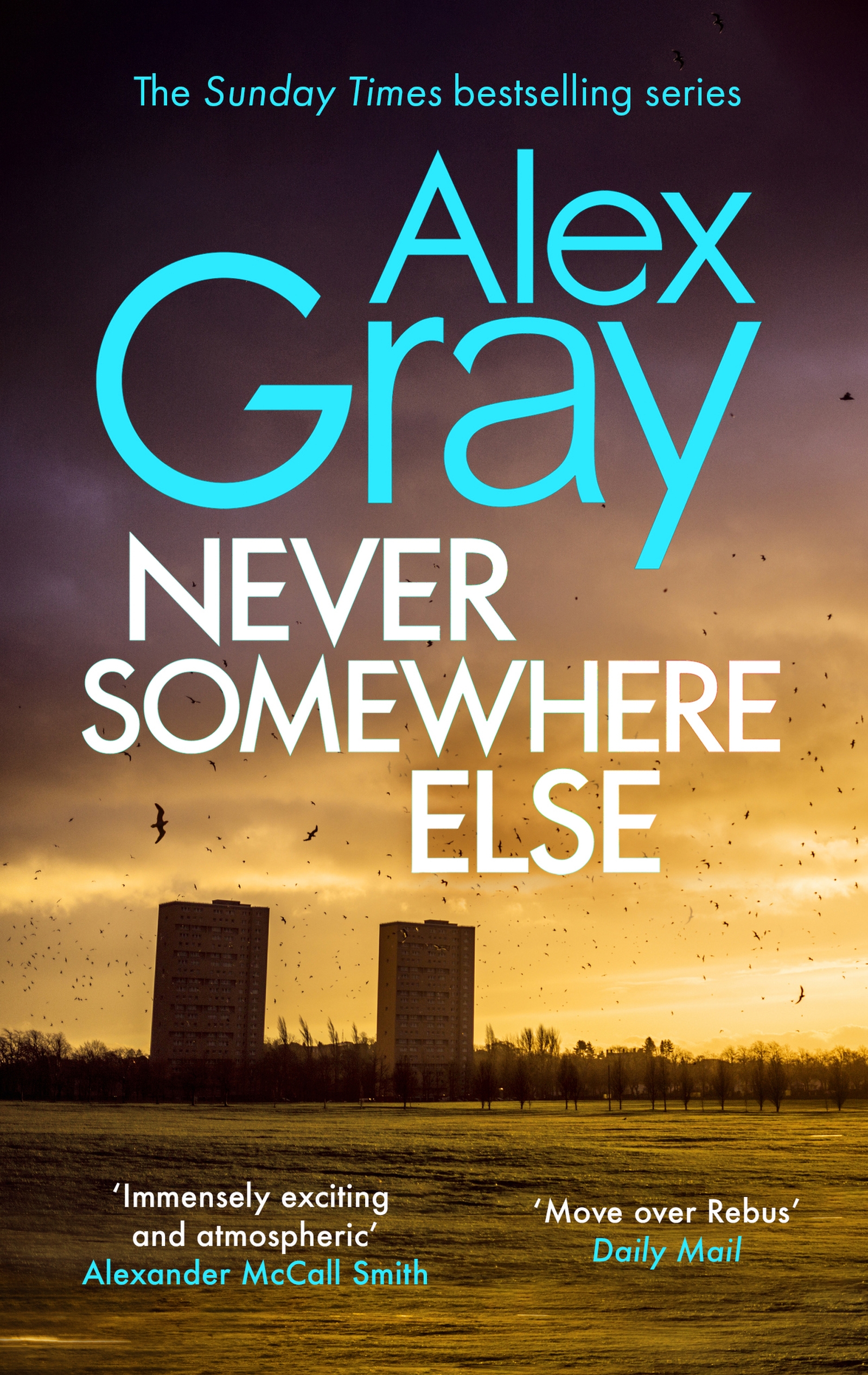 Cover image for Never Somewhere Else