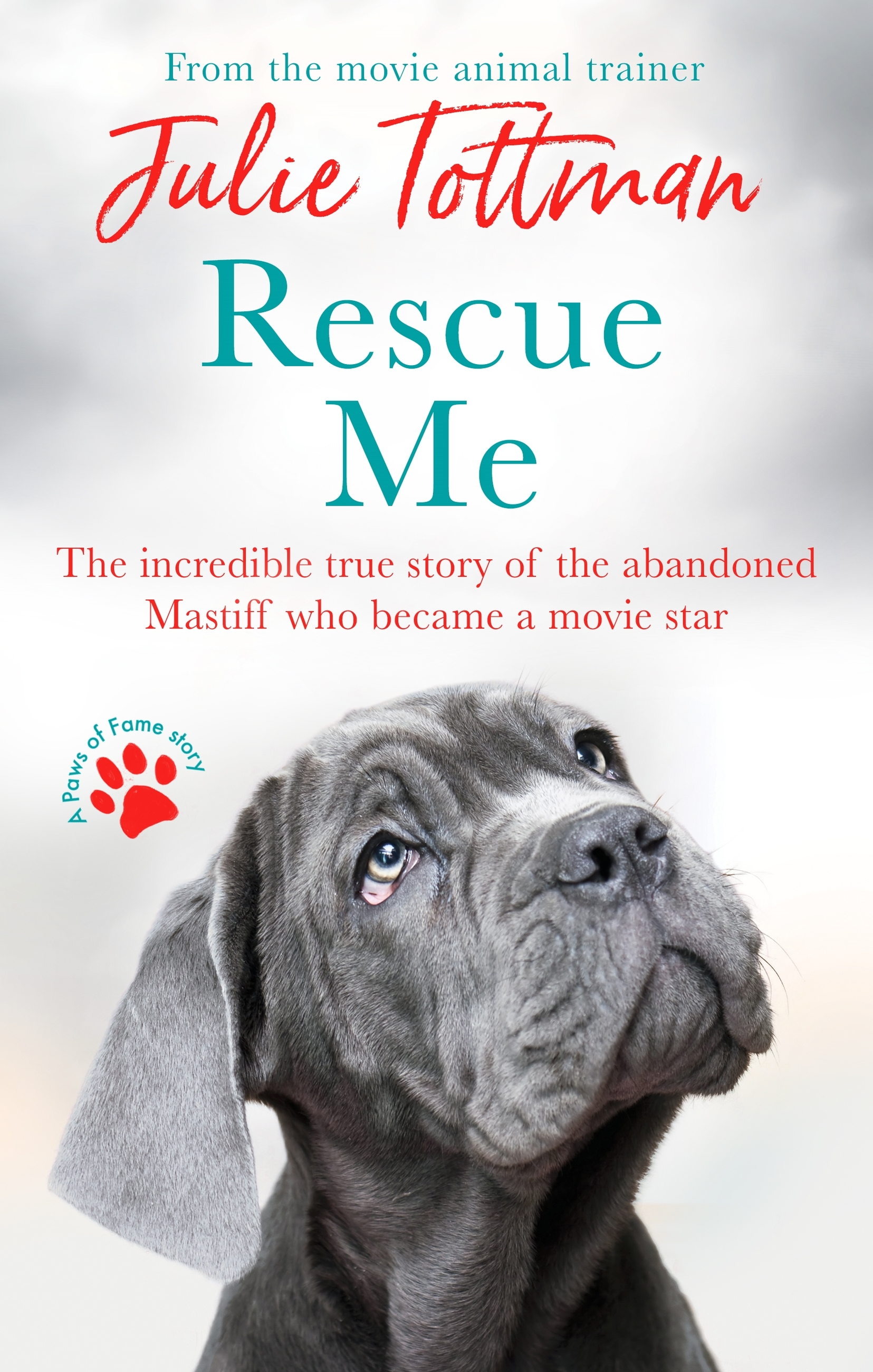Cover image for Rescue Me