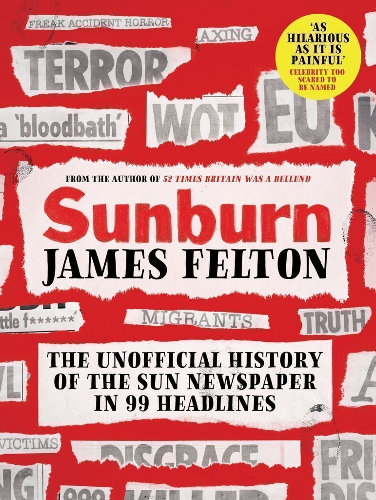 Cover image for Sunburn