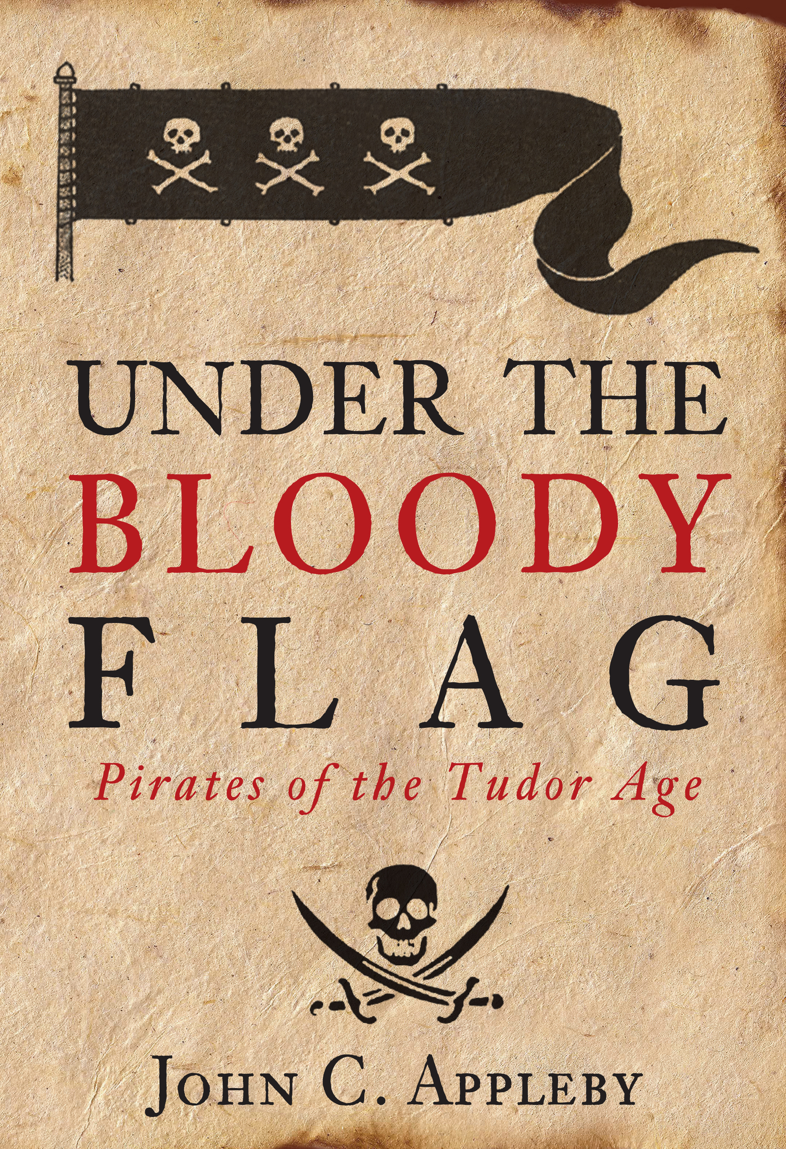 Cover image for Under the Bloody Flag