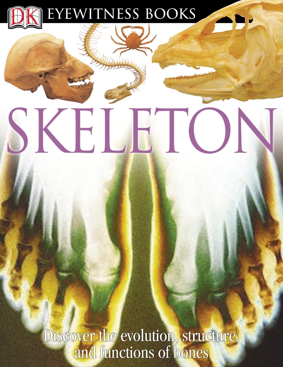 DK Eyewitness Books: Skeleton by: Steve Parker - 9780756667887