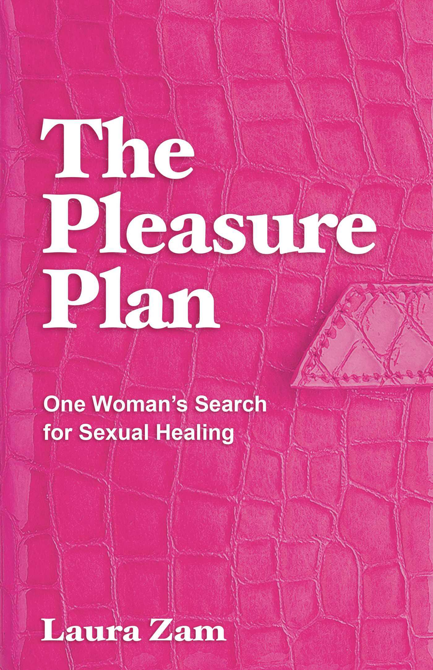 Cover image for The Pleasure Plan