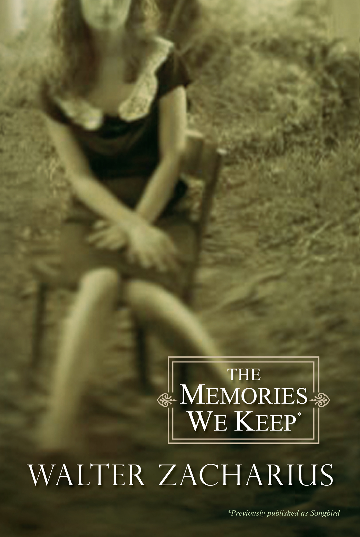 Cover image for The Memories We Keep