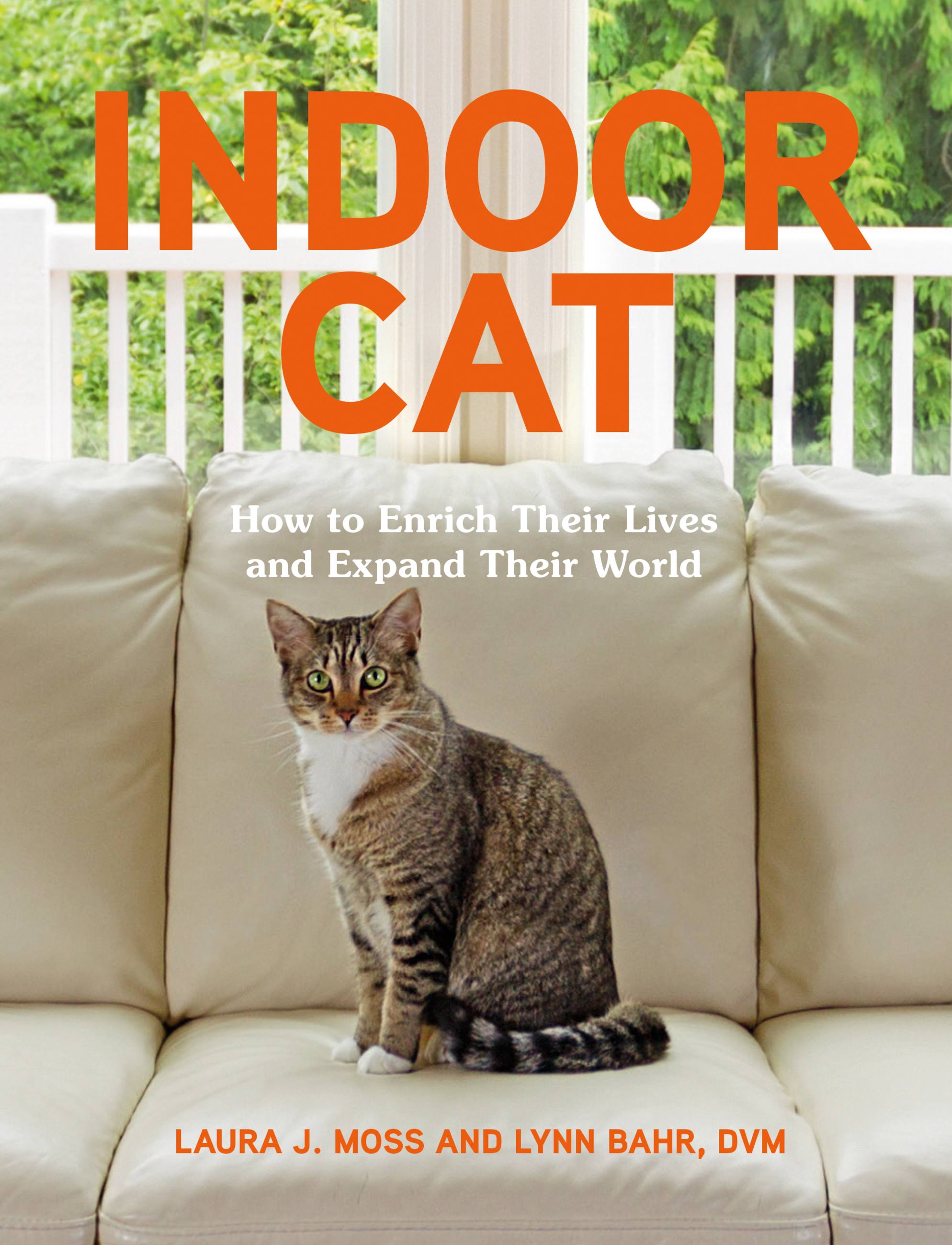 Cover image for Indoor Cat